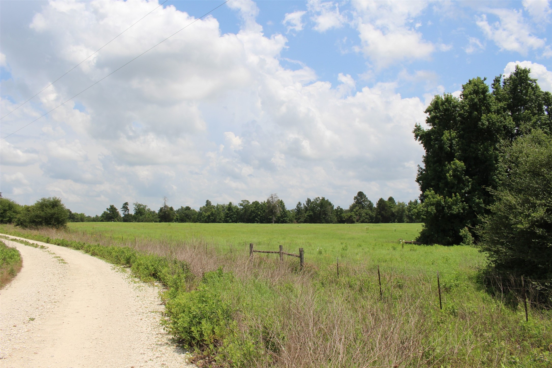 000 Private Road 1310, Centerville, TX, 75833 | 42252314 | Realty Texas LLC