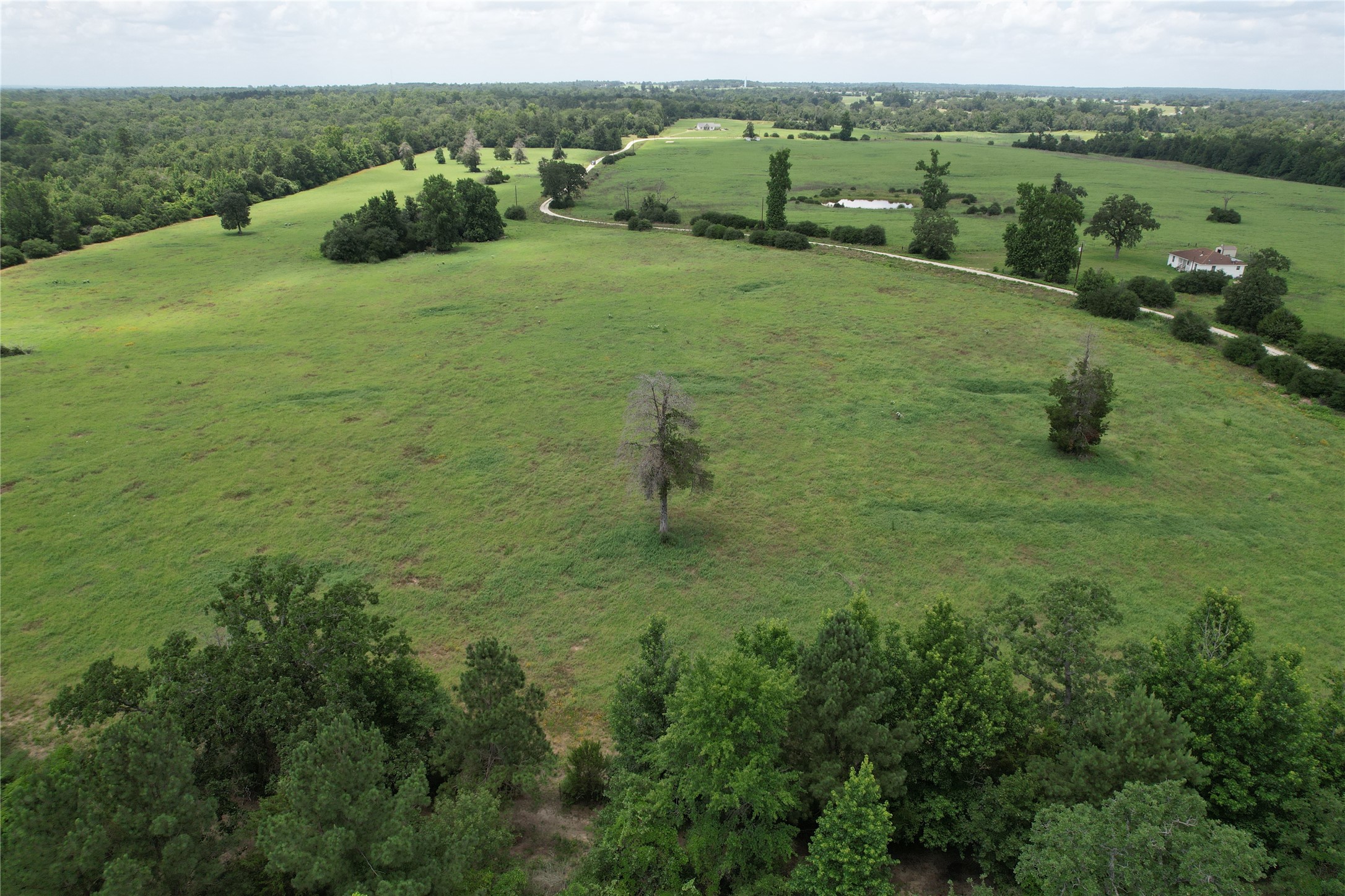 000 Private Road 1310, Centerville, TX, 75833 | 42252314 | Realty Texas LLC