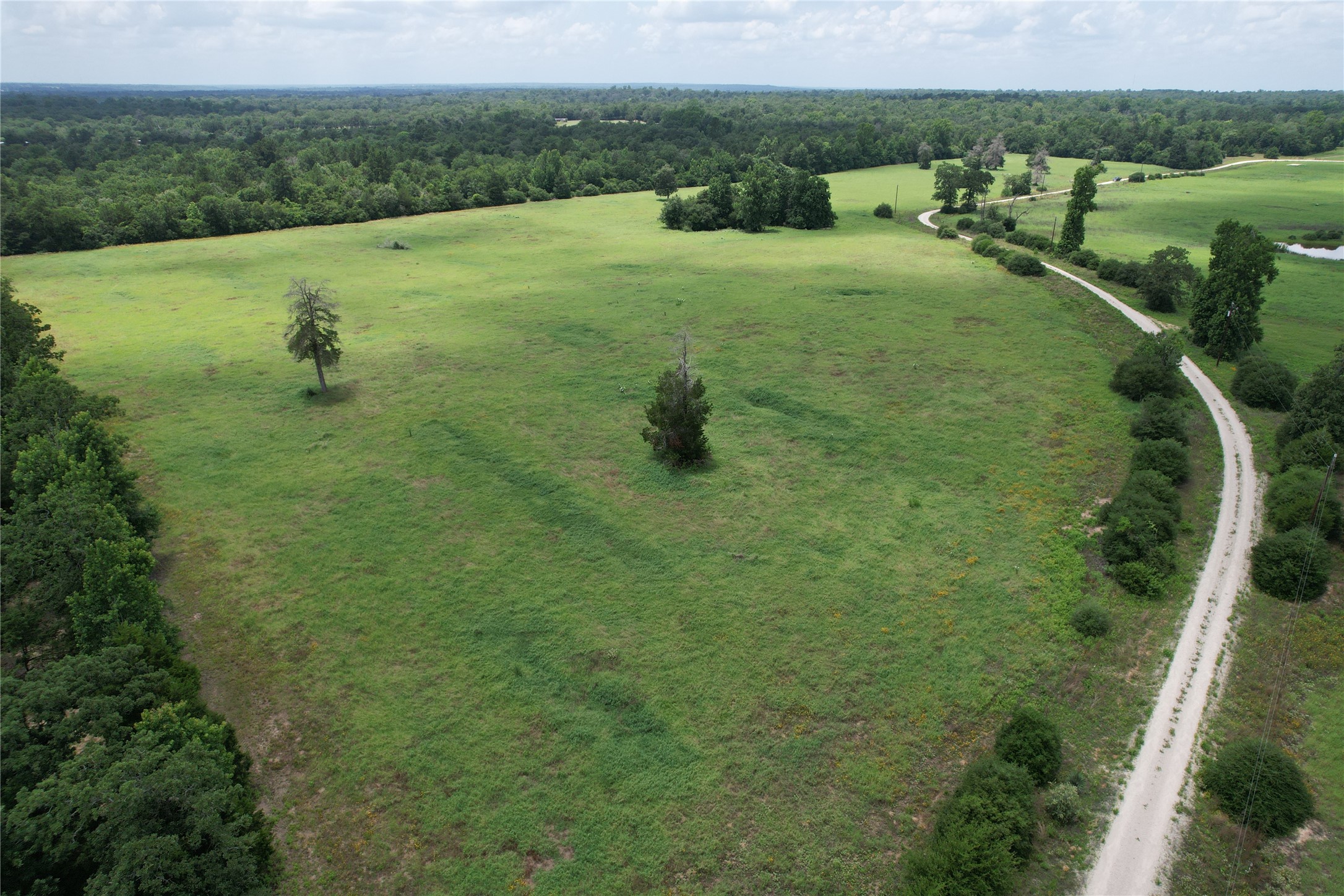 000 Private Road 1310, Centerville, TX, 75833 | 42252314 | Realty Texas LLC