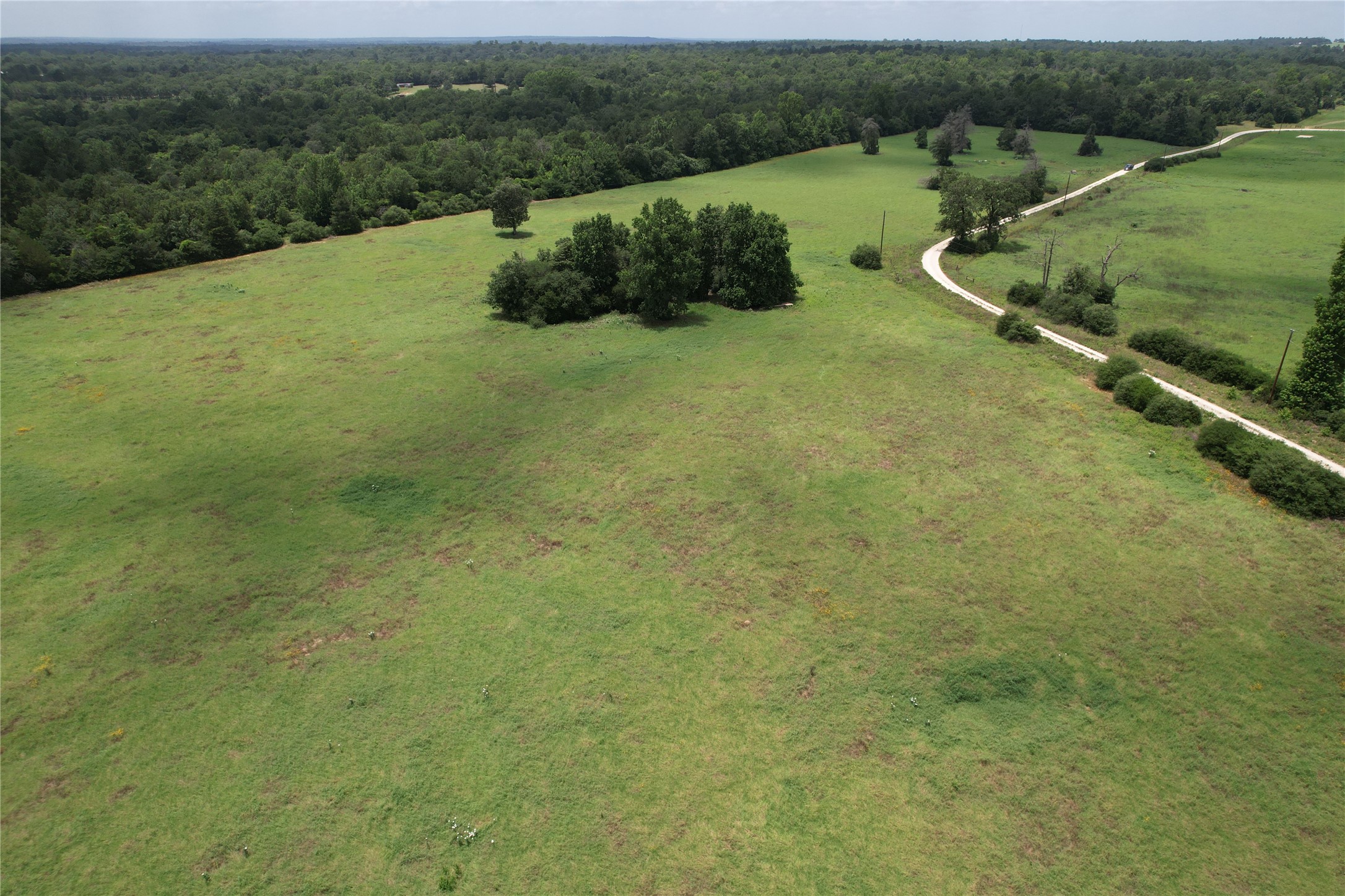 000 Private Road 1310, Centerville, TX, 75833 | 42252314 | Realty Texas LLC