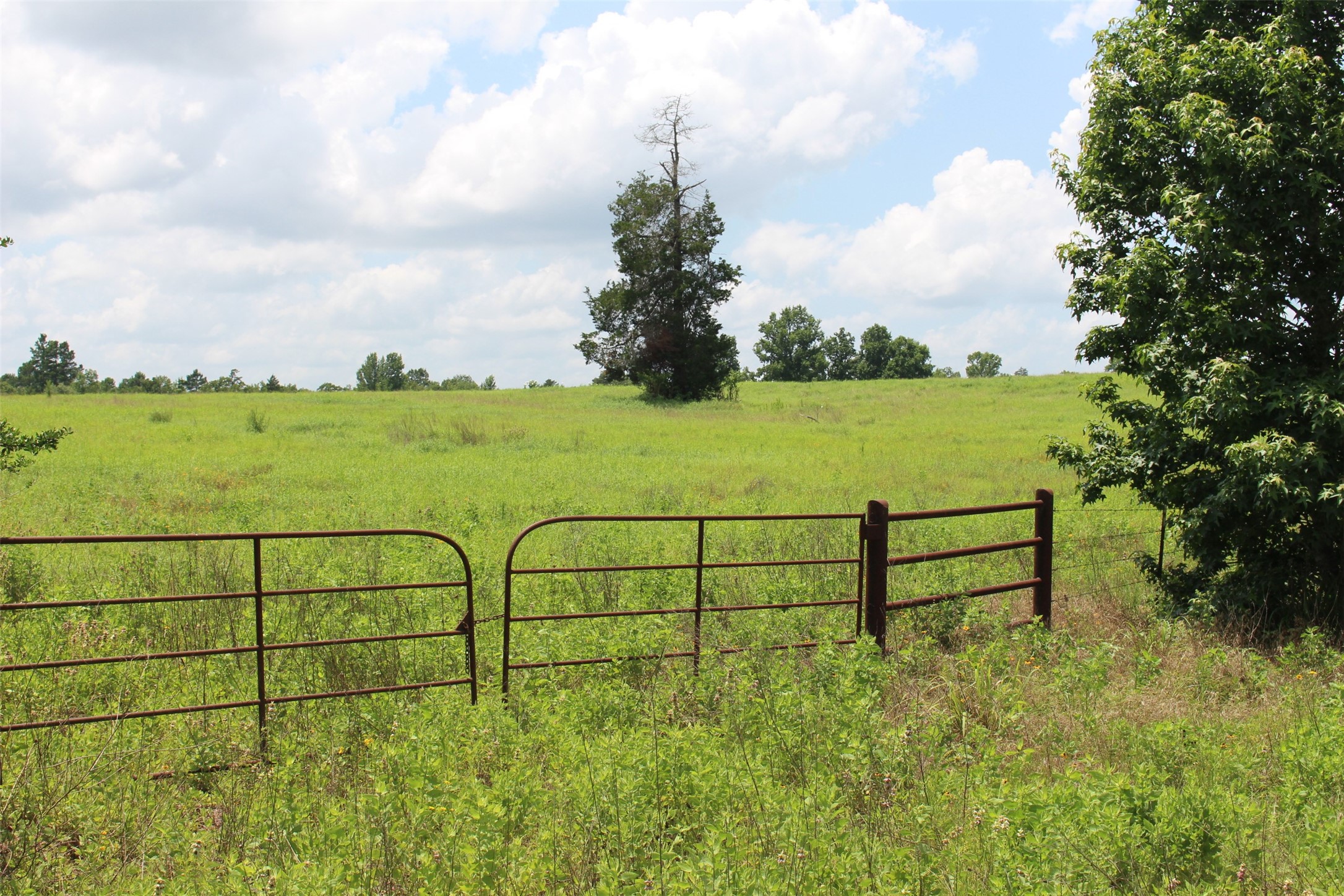 000 Private Road 1310, Centerville, TX, 75833 | 42252314 | Realty Texas LLC