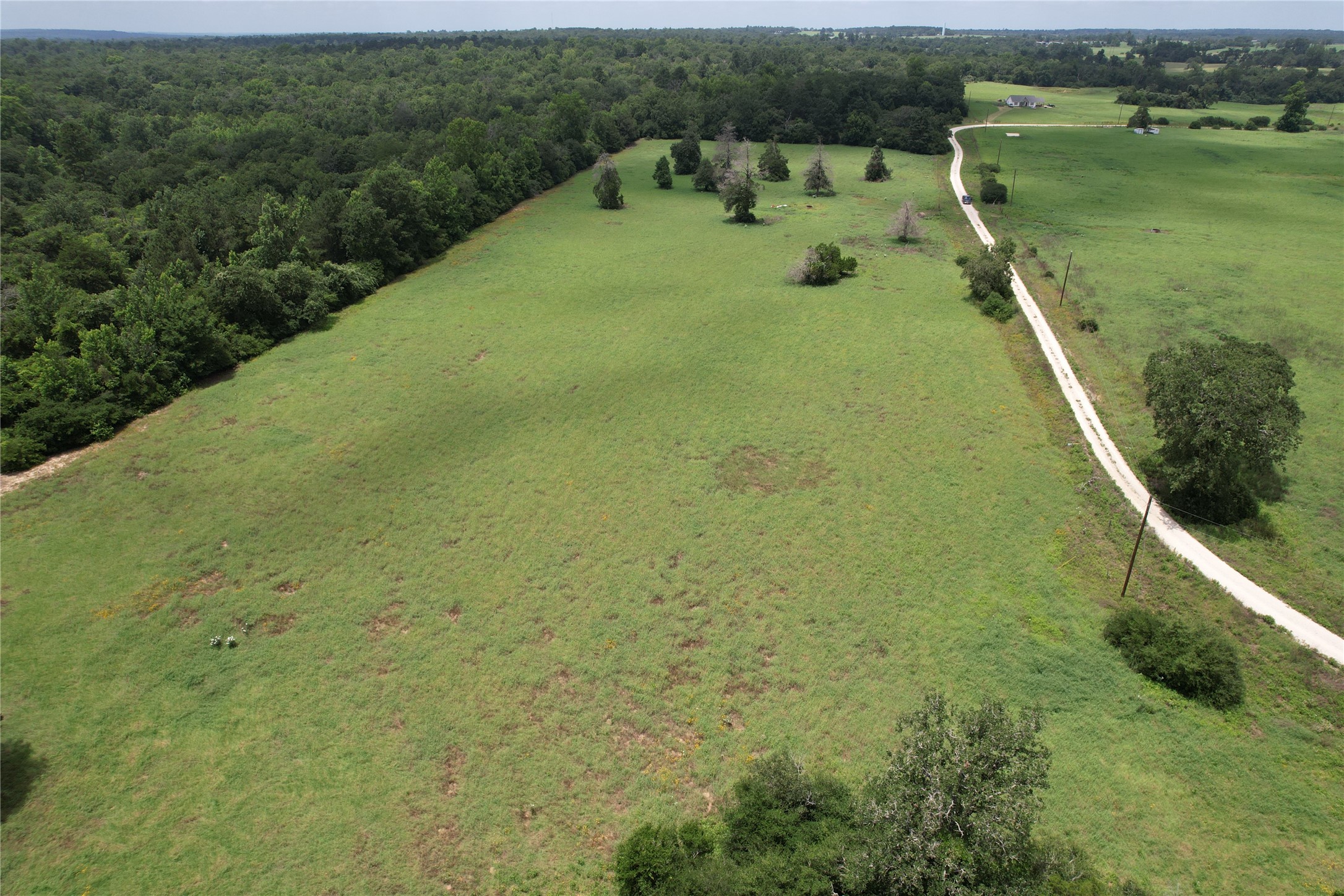 000 Private Road 1310, Centerville, TX, 75833 | 42252314 | Realty Texas LLC