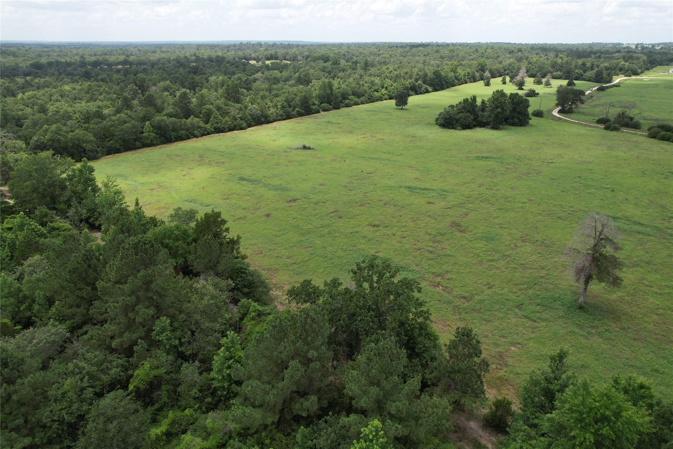000 Private Road 1310, Centerville, TX, 75833 | 42252314 | Realty Texas LLC