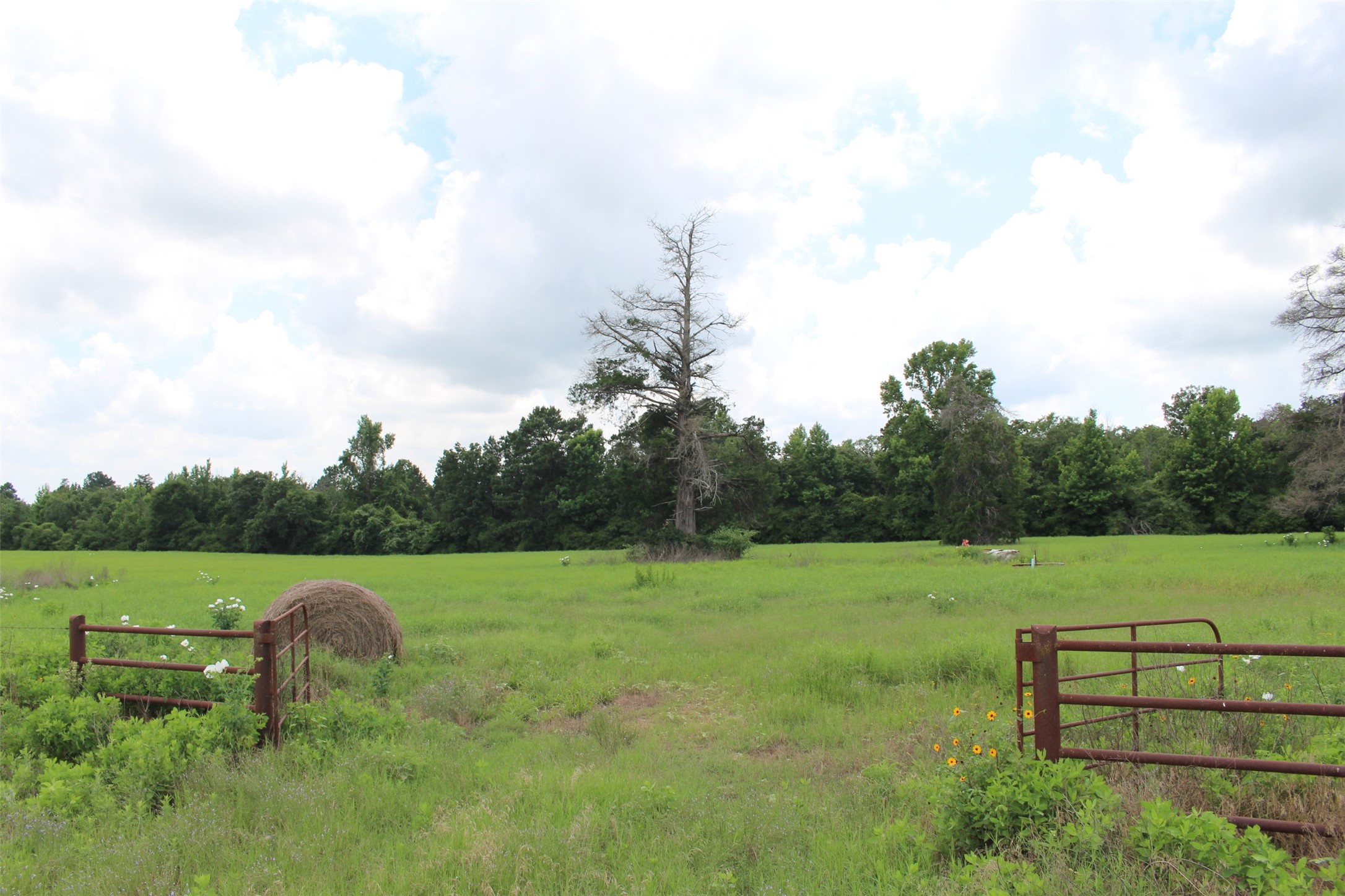 000 Private Road 1310, Centerville, TX, 75833 | 42252314 | Realty Texas LLC