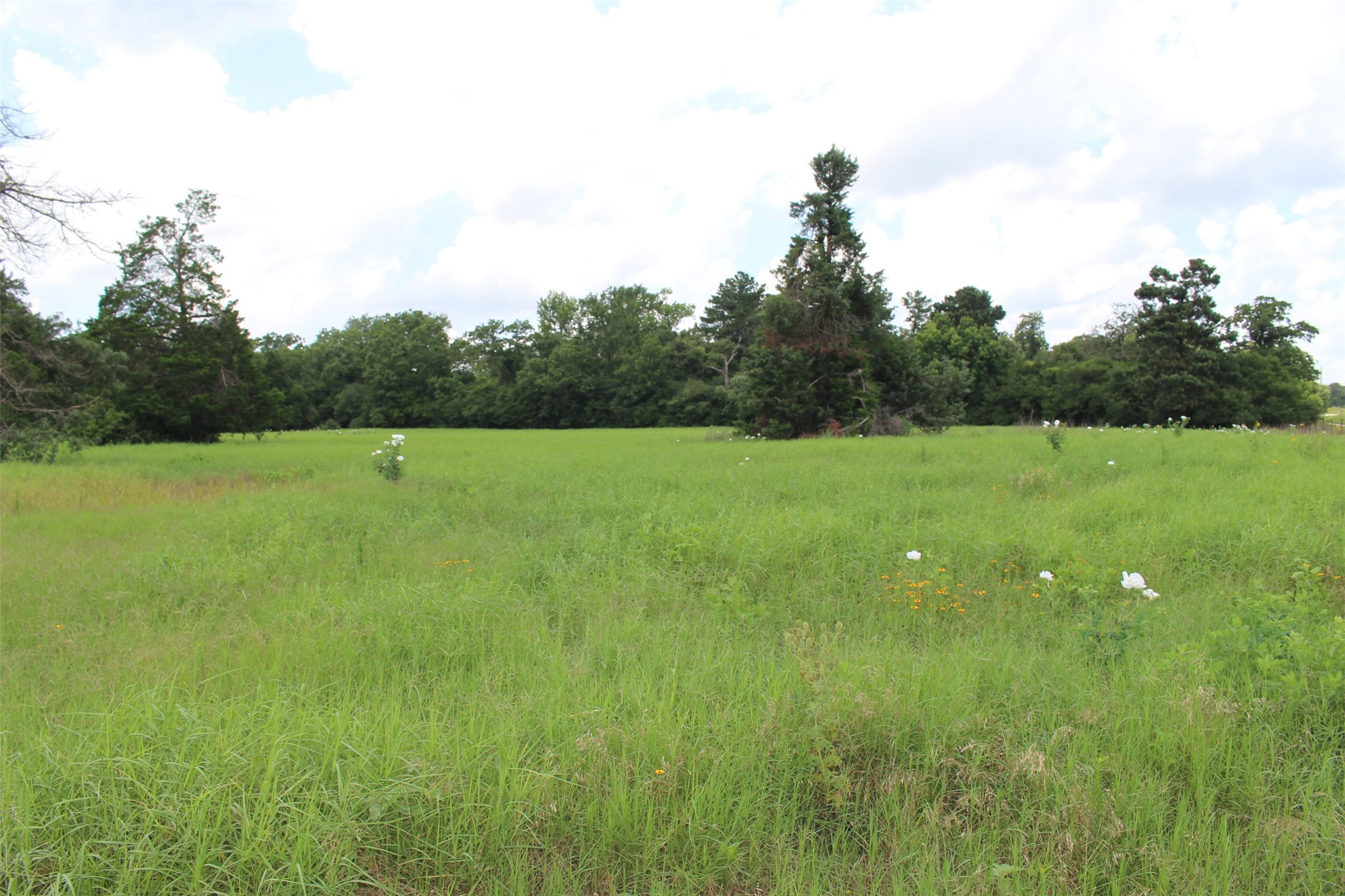 000 Private Road 1310, Centerville, TX, 75833 | 42252314 | Realty Texas LLC