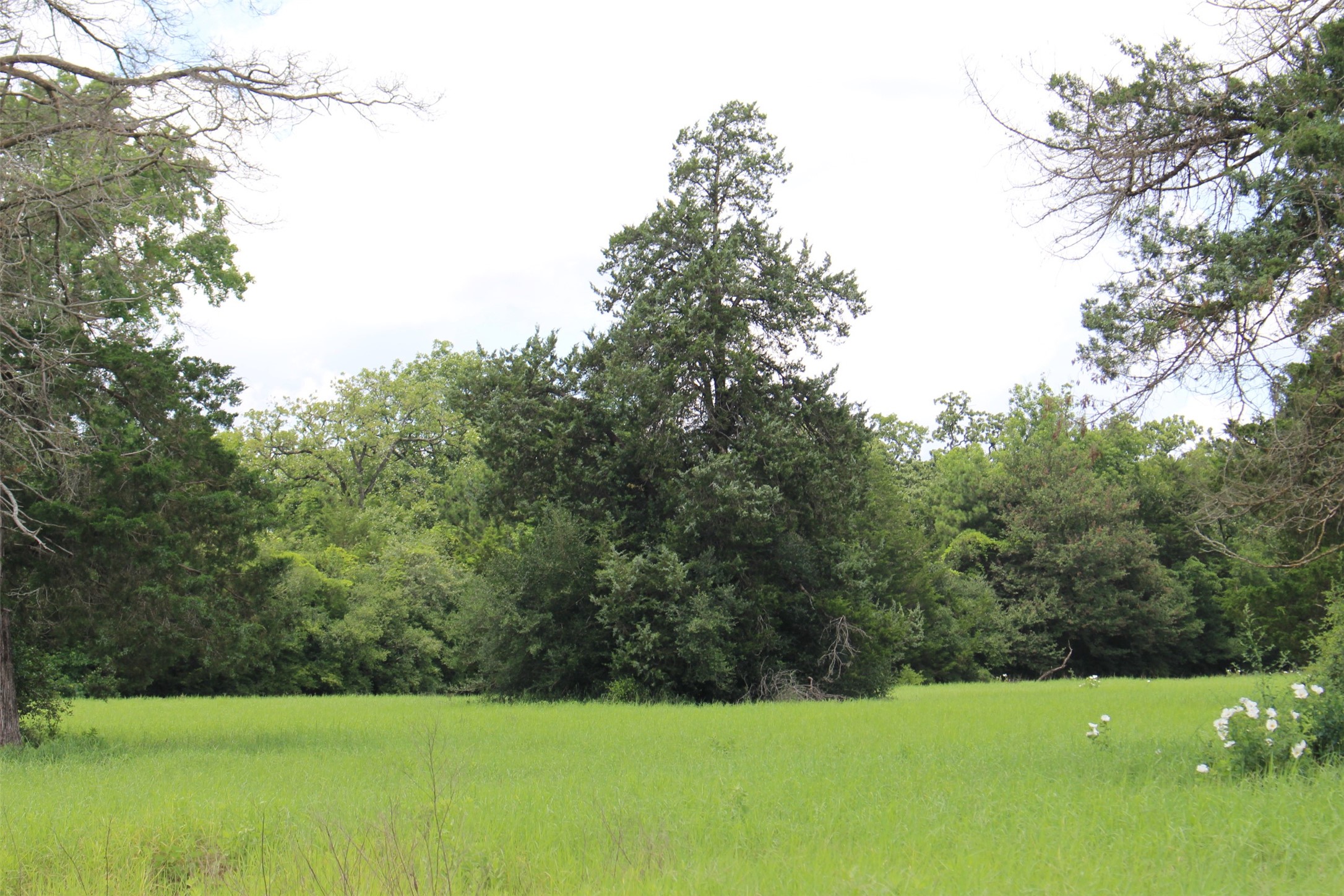 000 Private Road 1310, Centerville, TX, 75833 | 42252314 | Realty Texas LLC