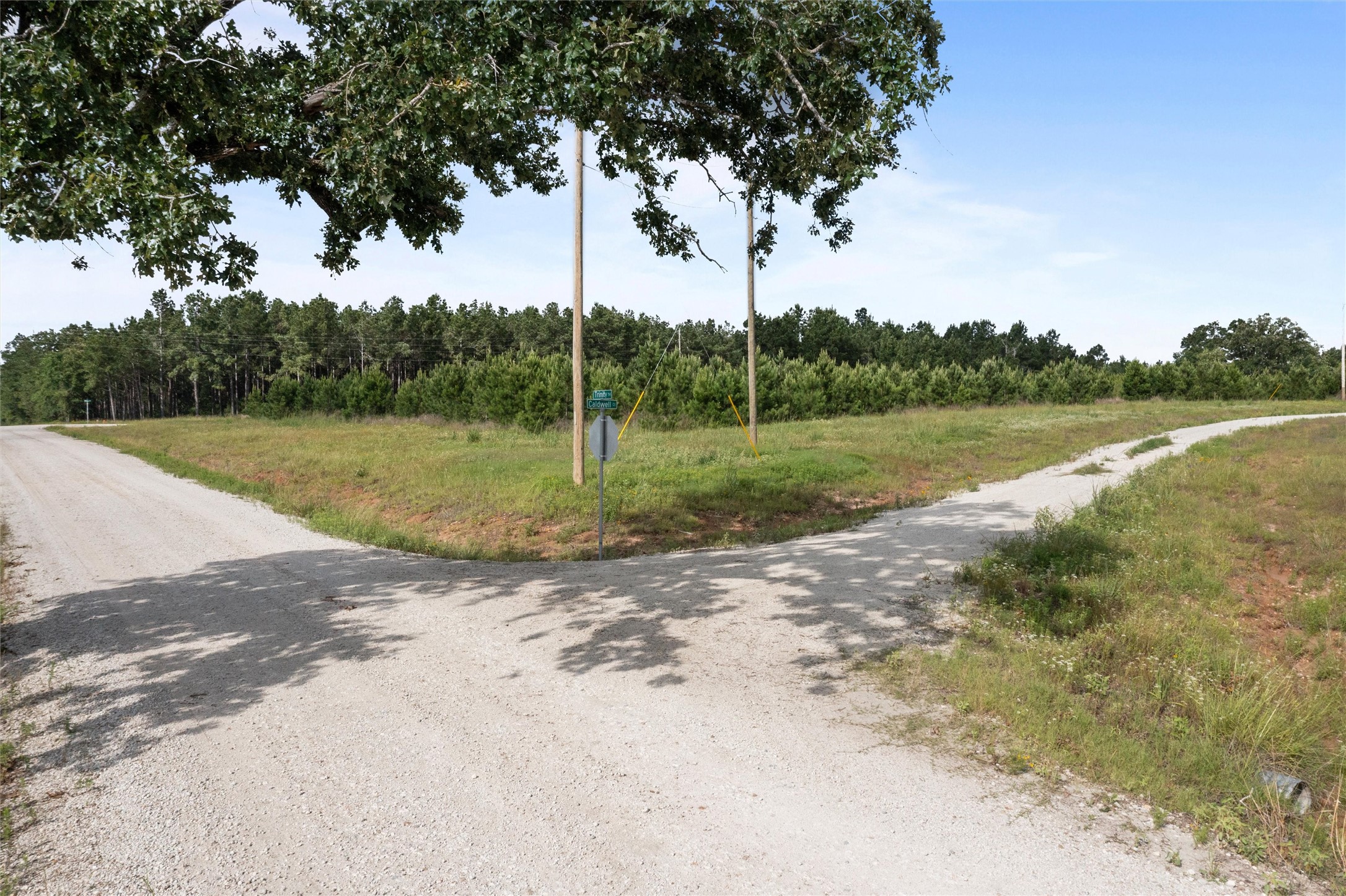 0 Caldwell, Lovelady, TX, 75851 | 89087862 | Realty Texas LLC