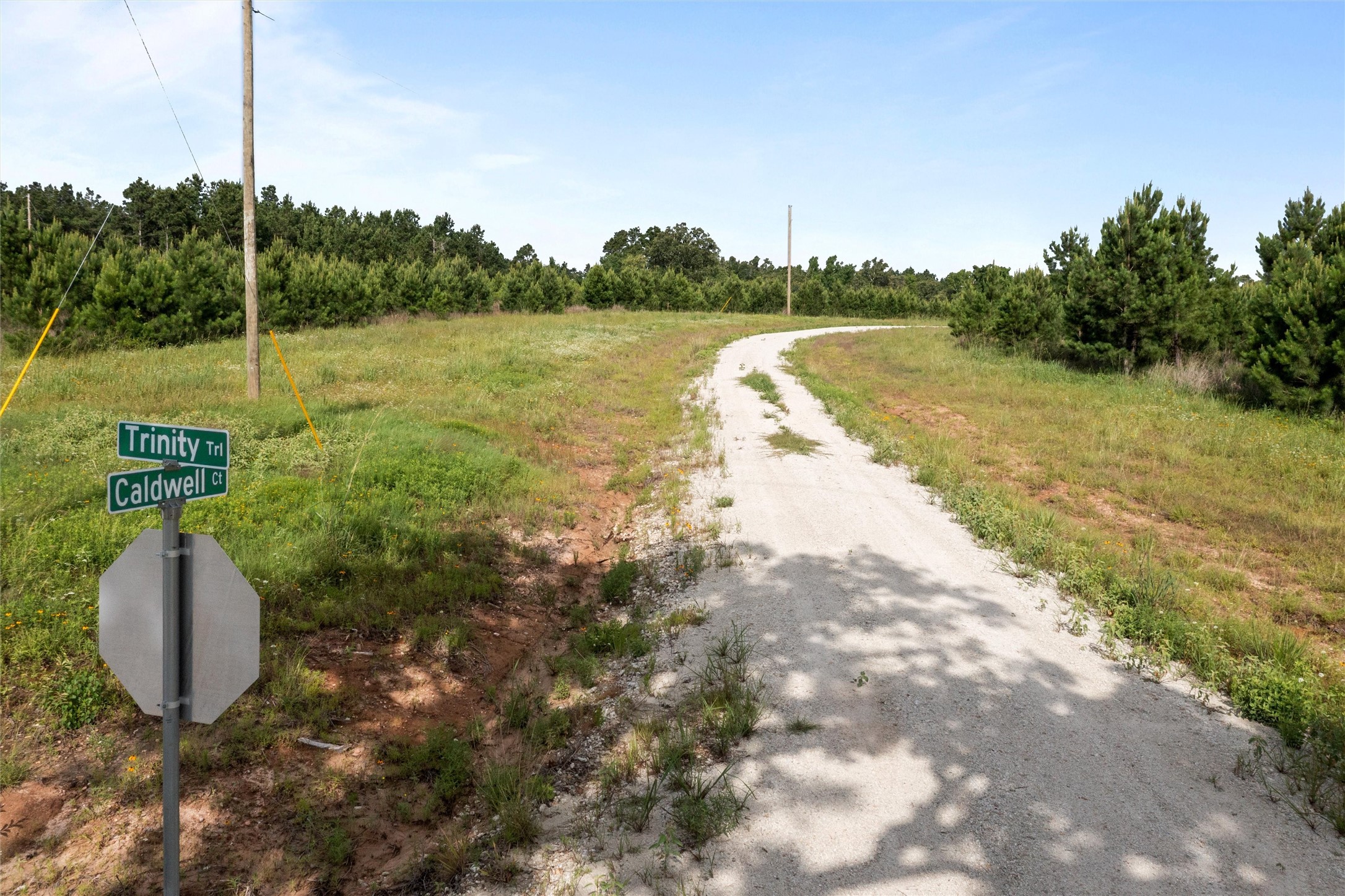 0 Caldwell, Lovelady, TX, 75851 | 89087862 | Realty Texas LLC