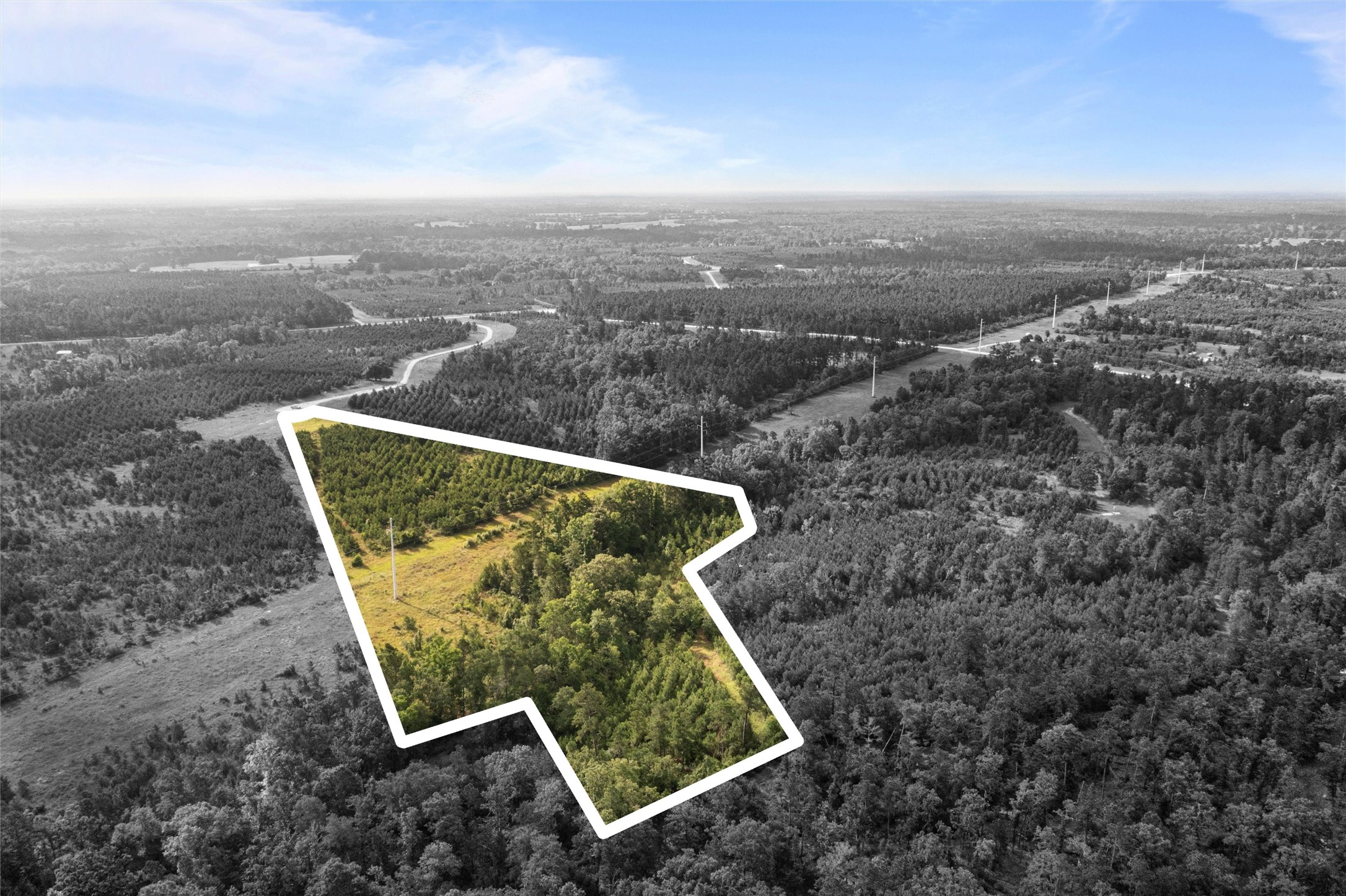 0 Caldwell, Lovelady, TX, 75851 | 89087862 | Realty Texas LLC
