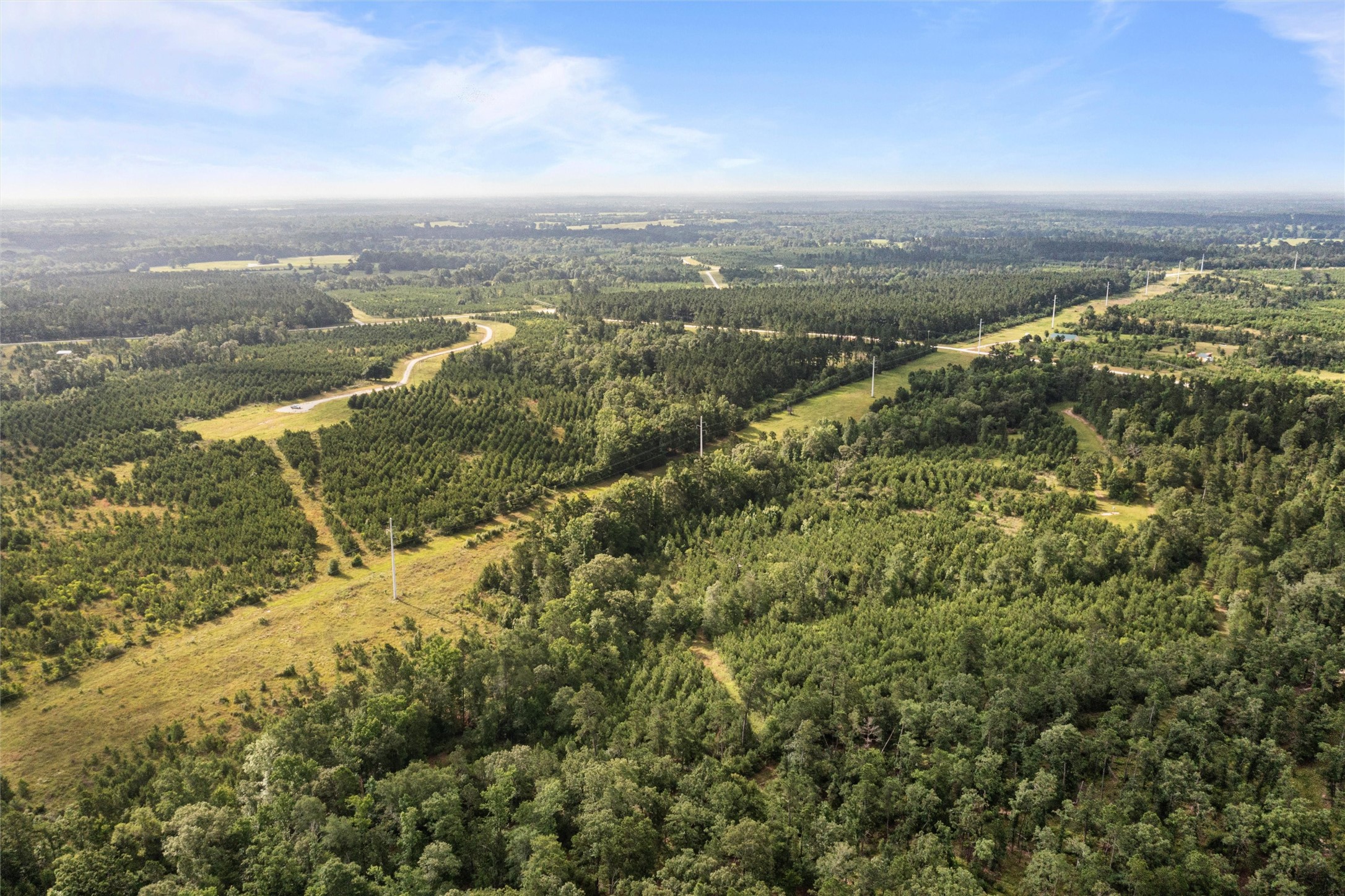 0 Caldwell, Lovelady, TX, 75851 | 89087862 | Realty Texas LLC