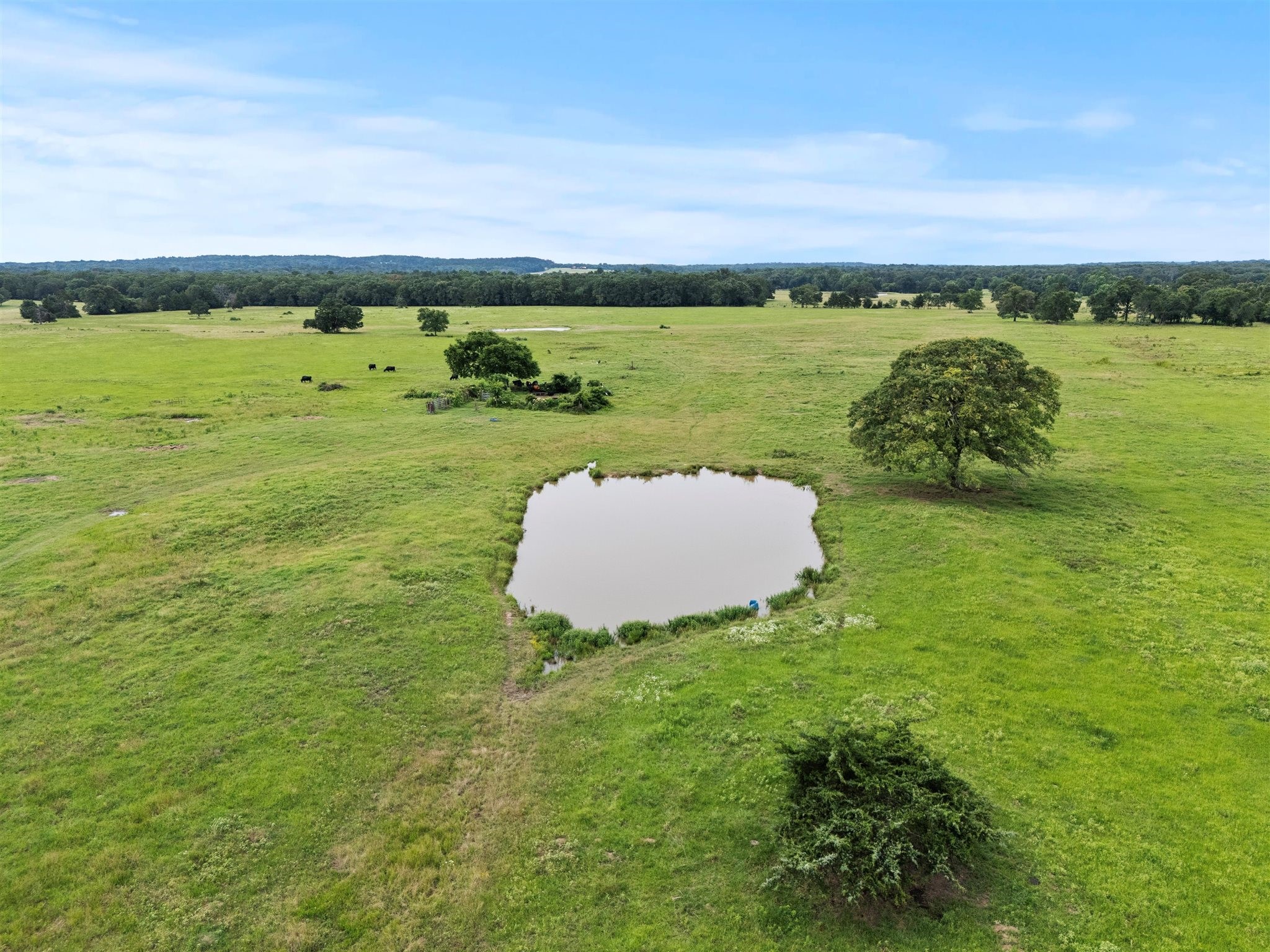 0000 VZ CR 4607 Road, Ben Wheeler, TX, 75754 | 20973289 | Realty Texas LLC