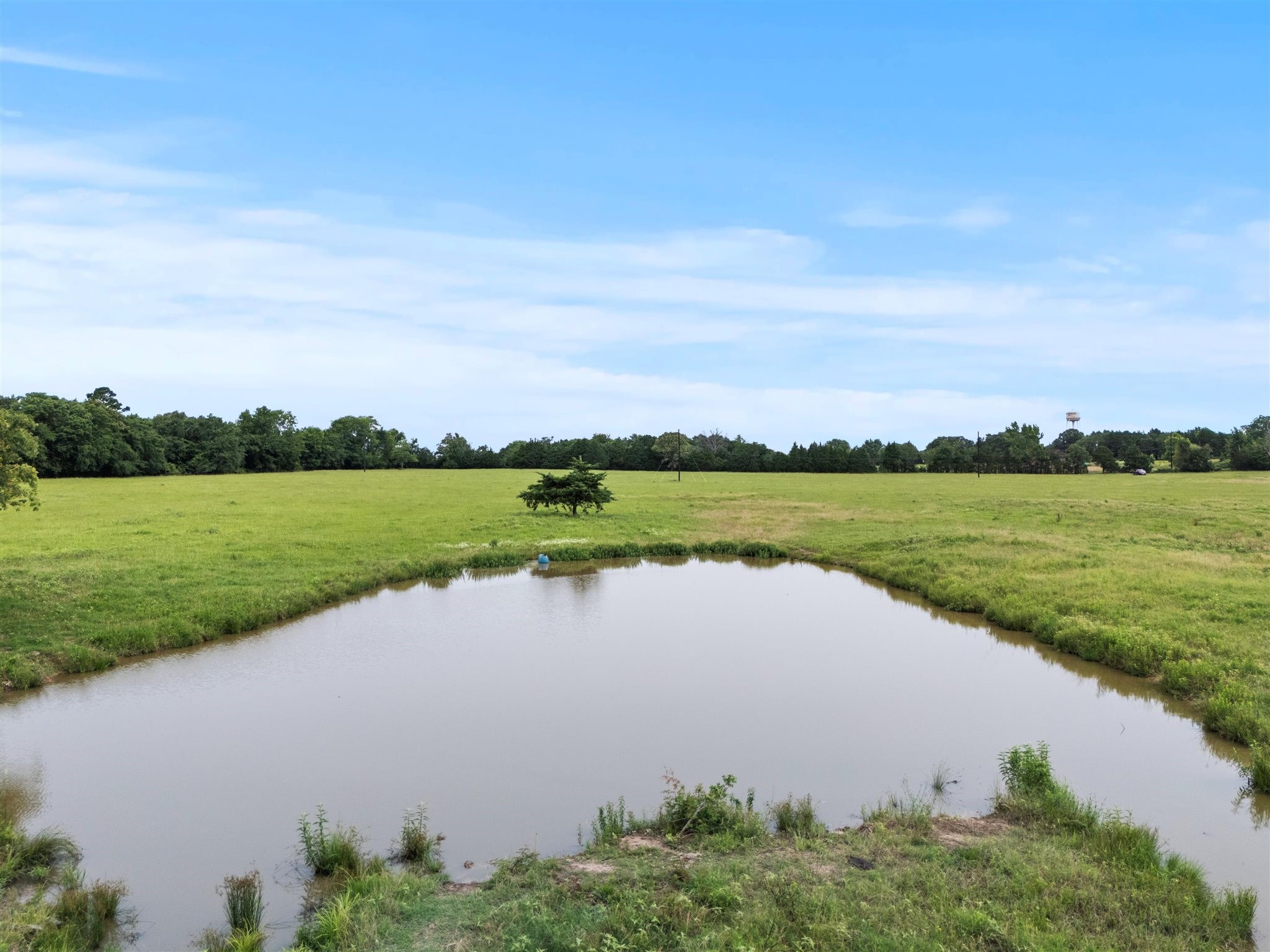 0000 VZ CR 4607 Road, Ben Wheeler, TX, 75754 | 20973289 | Realty Texas LLC