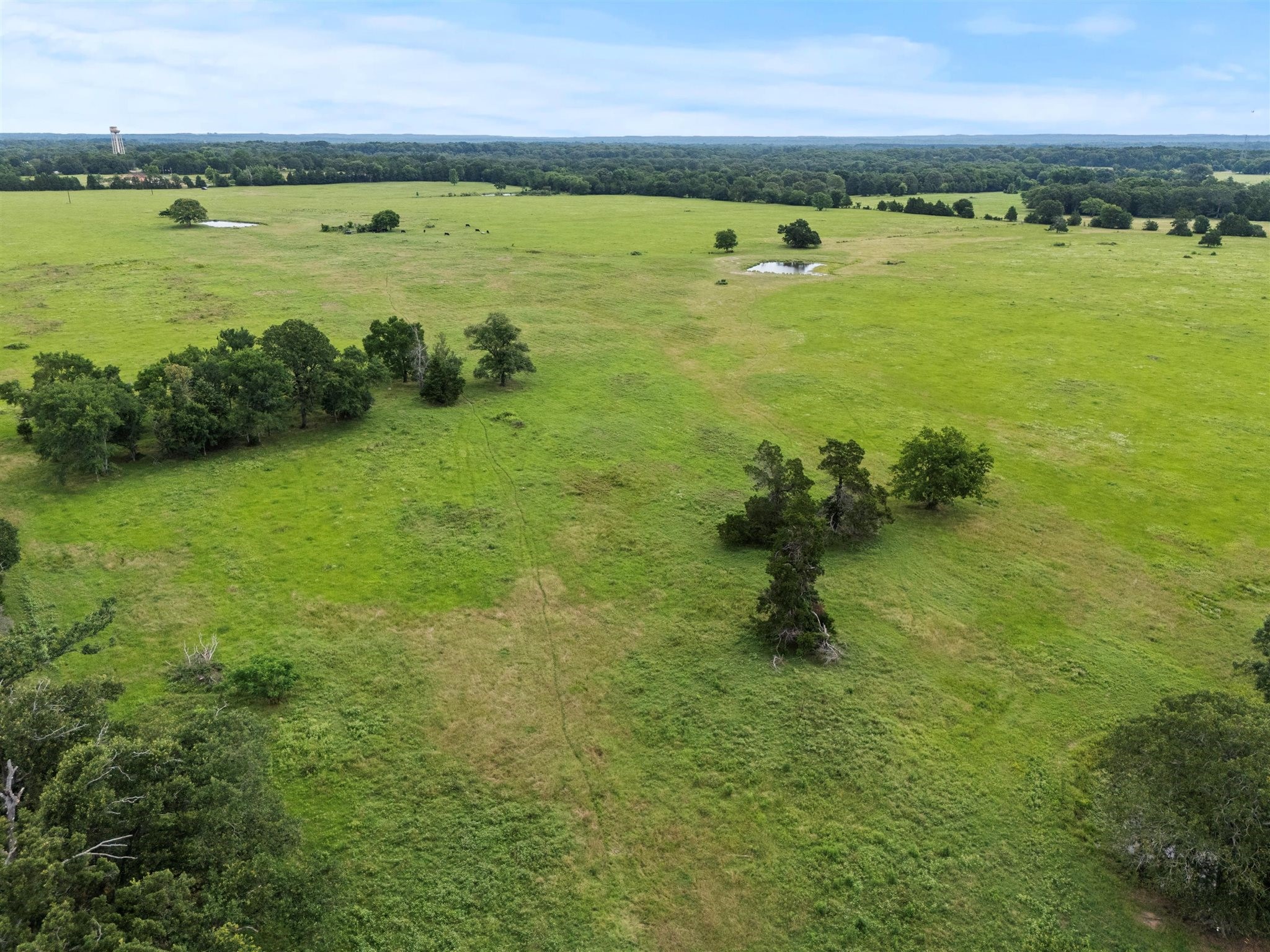 0000 VZ CR 4607 Road, Ben Wheeler, TX, 75754 | 20973289 | Realty Texas LLC