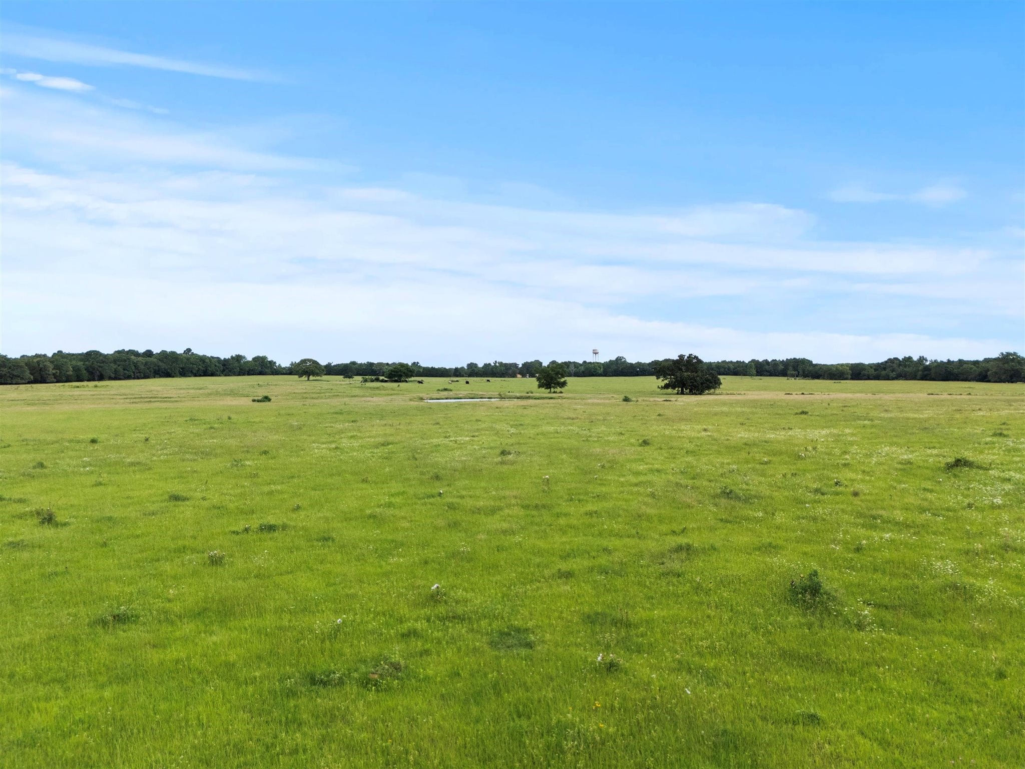 0000 VZ CR 4607 Road, Ben Wheeler, TX, 75754 | 20973289 | Realty Texas LLC