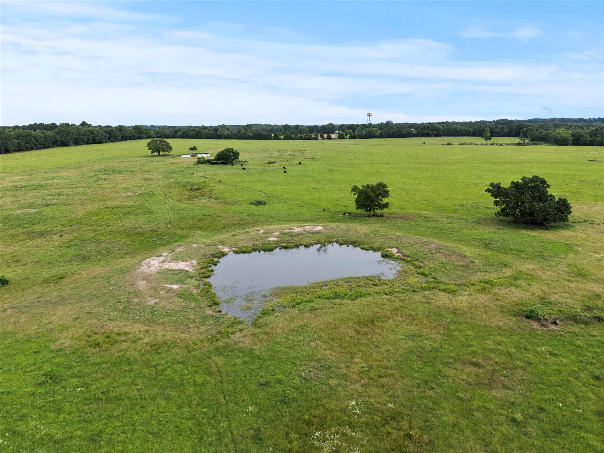 0000 VZ CR 4607 Road, Ben Wheeler, TX, 75754 | 20973289 | Realty Texas LLC