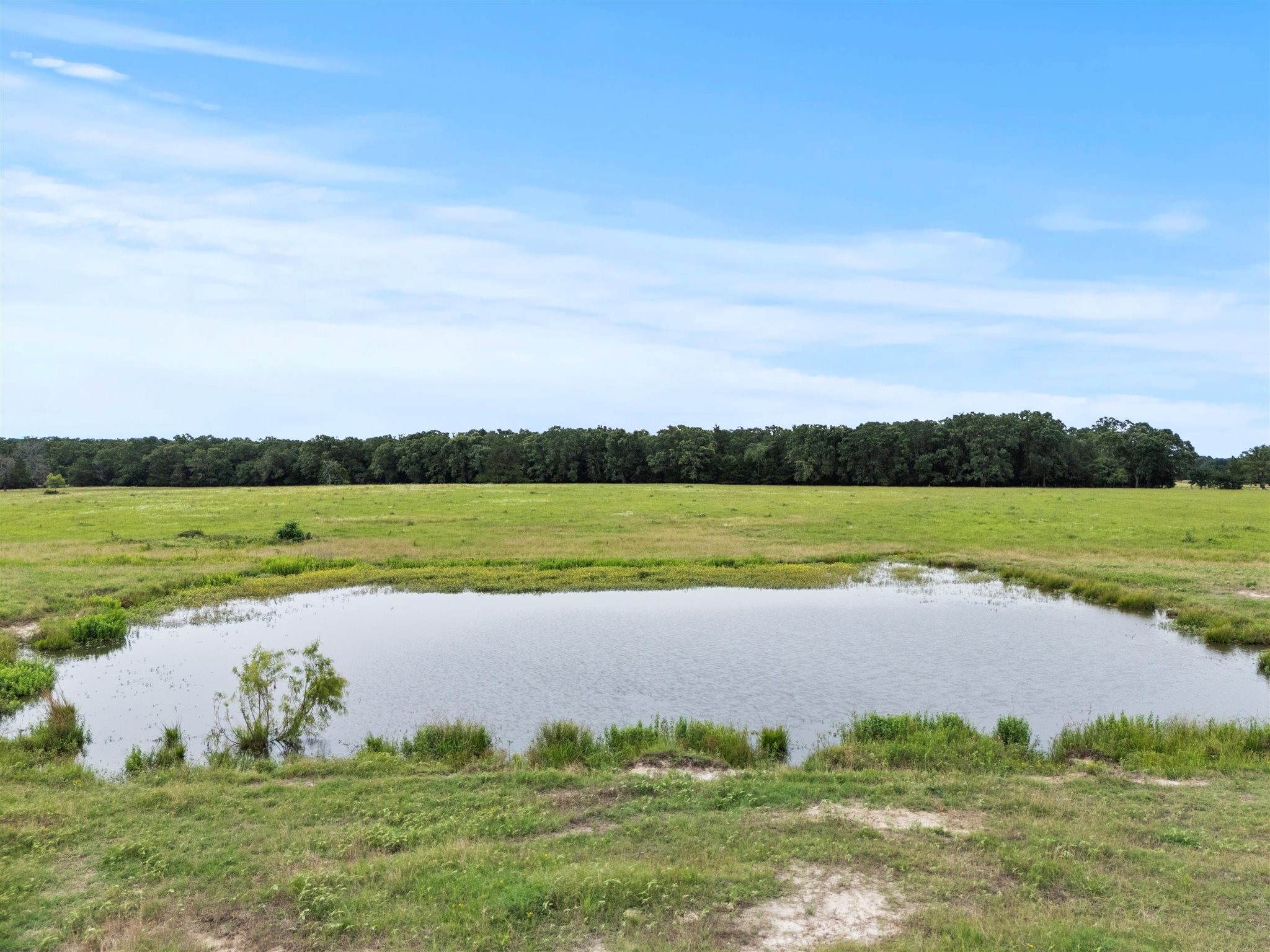 0000 VZ CR 4607 Road, Ben Wheeler, TX, 75754 | 20973289 | Realty Texas LLC