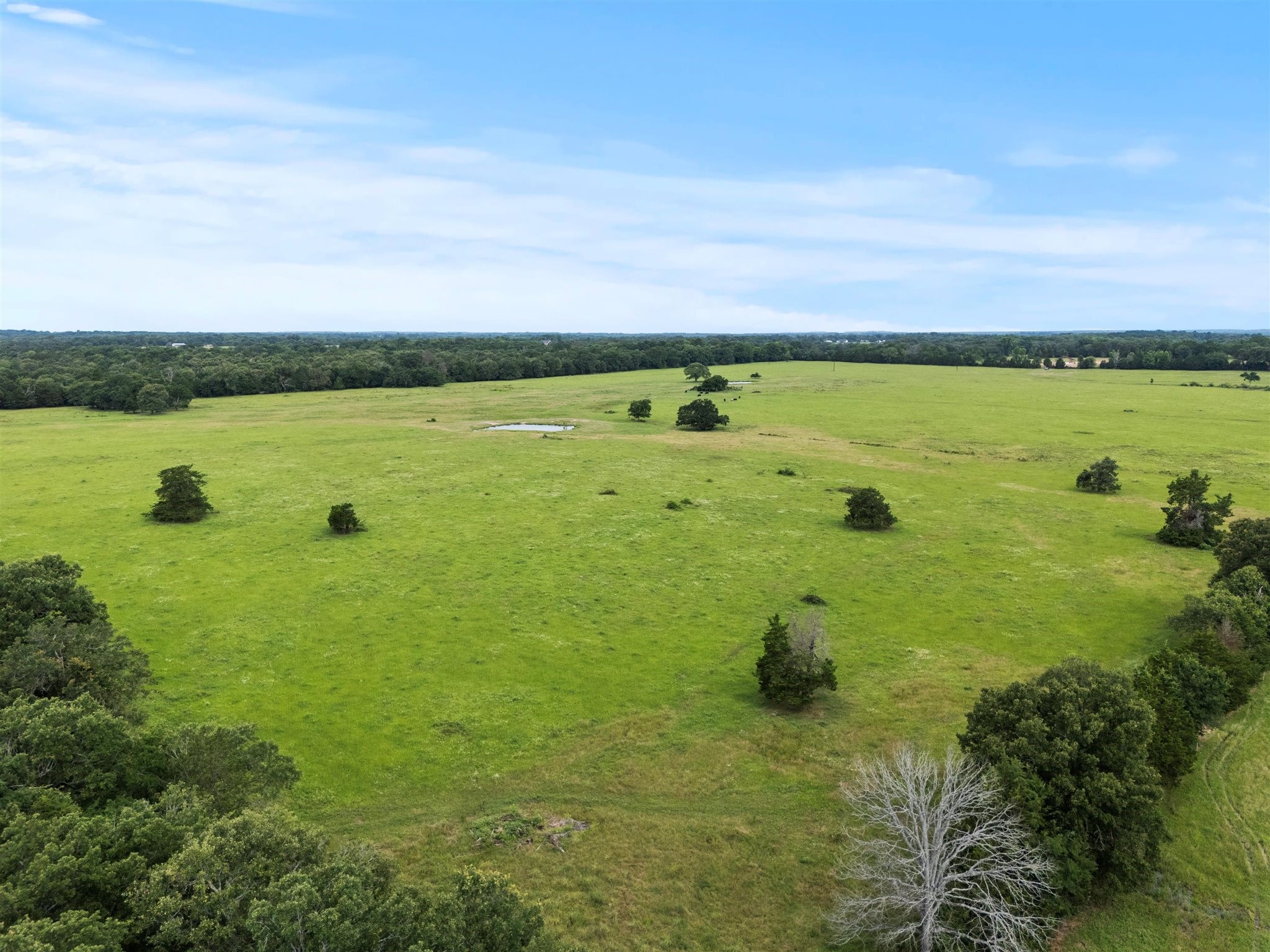 0000 VZ CR 4607 Road, Ben Wheeler, TX, 75754 | 20973289 | Realty Texas LLC