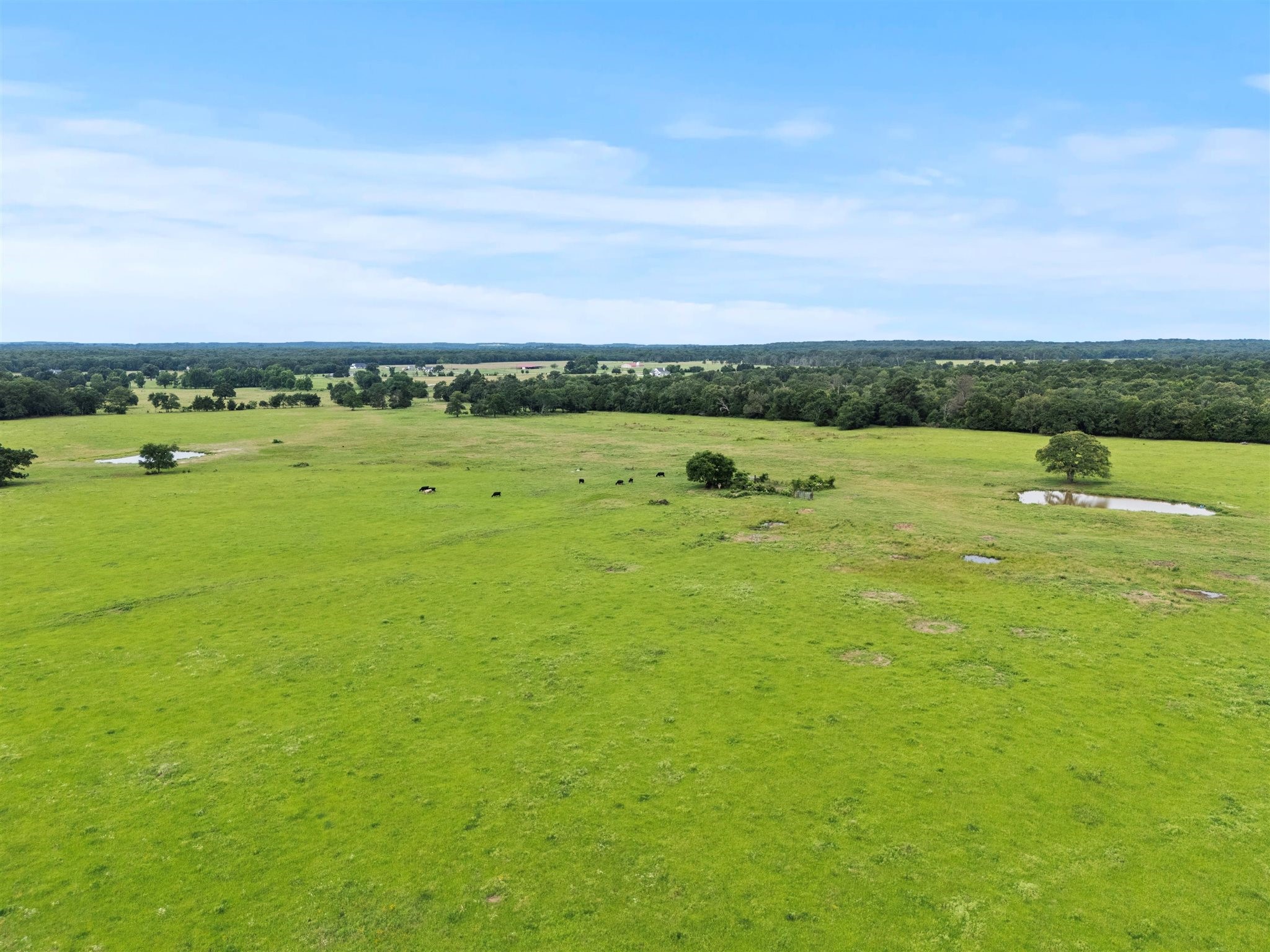 0000 VZ CR 4607 Road, Ben Wheeler, TX, 75754 | 20973289 | Realty Texas LLC