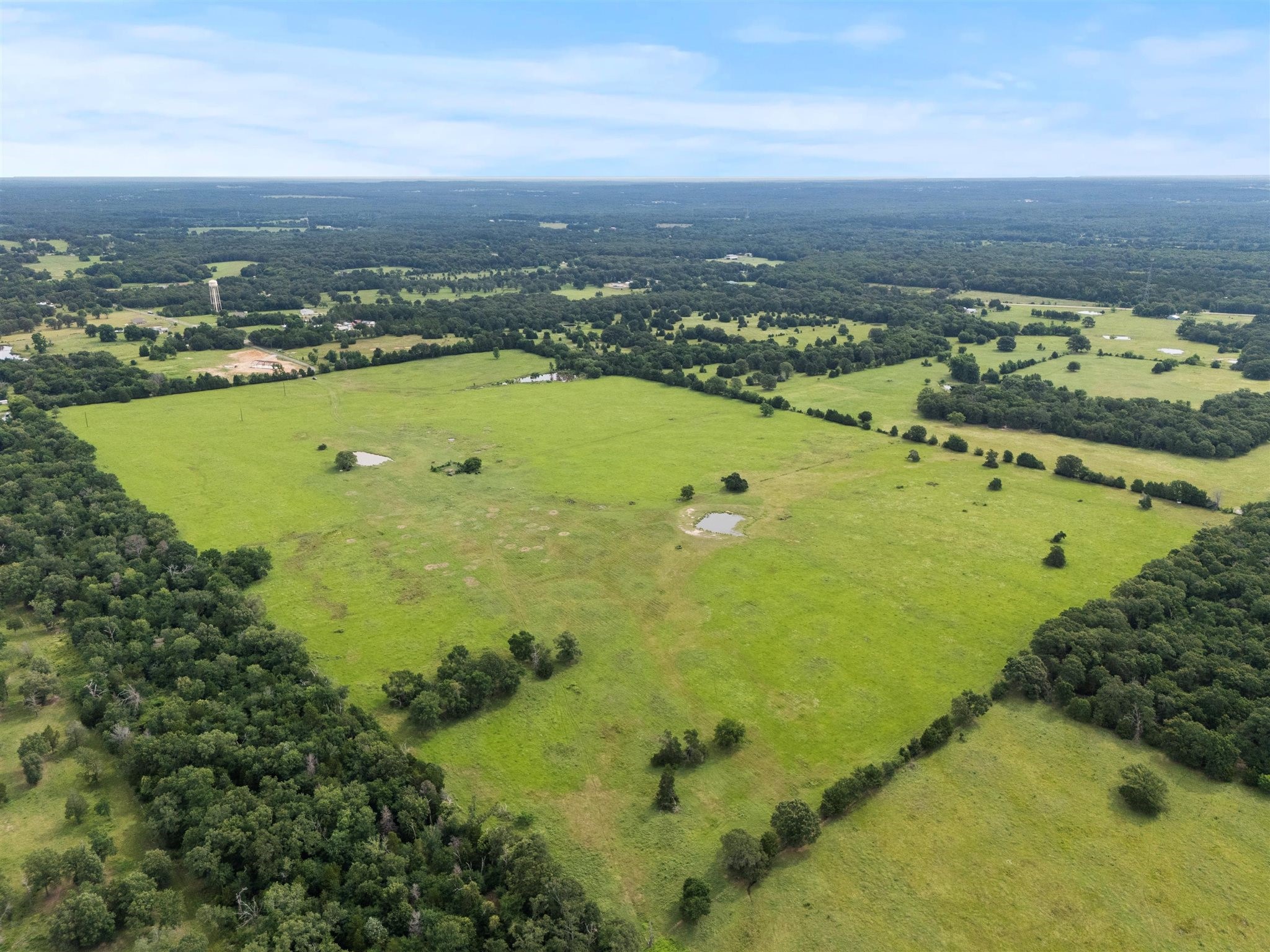 0000 VZ CR 4607 Road, Ben Wheeler, TX, 75754 | 20973289 | Realty Texas LLC
