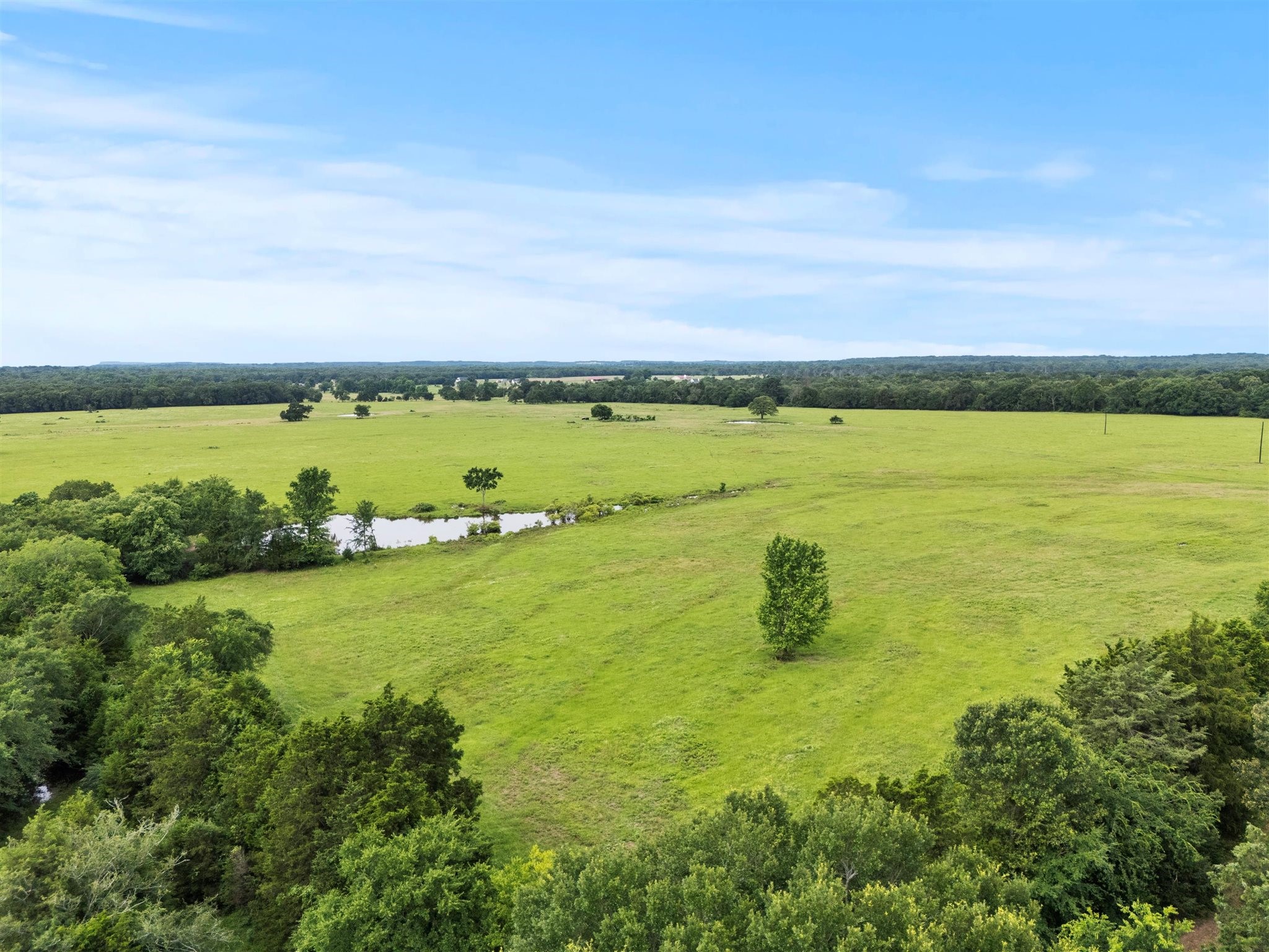 0000 VZ CR 4607 Road, Ben Wheeler, TX, 75754 | 20973289 | Realty Texas LLC