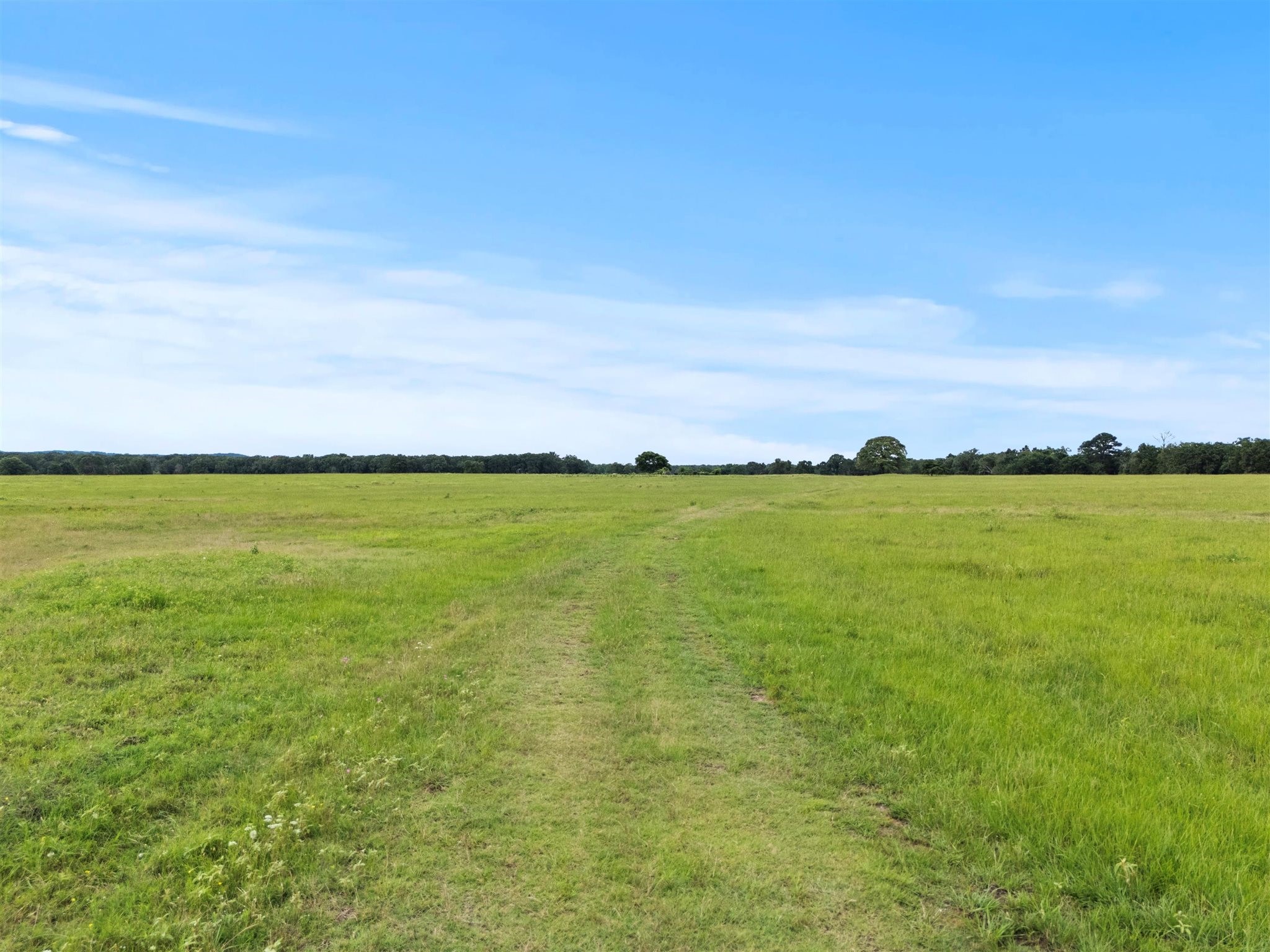 0000 VZ CR 4607 Road, Ben Wheeler, TX, 75754 | 20973289 | Realty Texas LLC