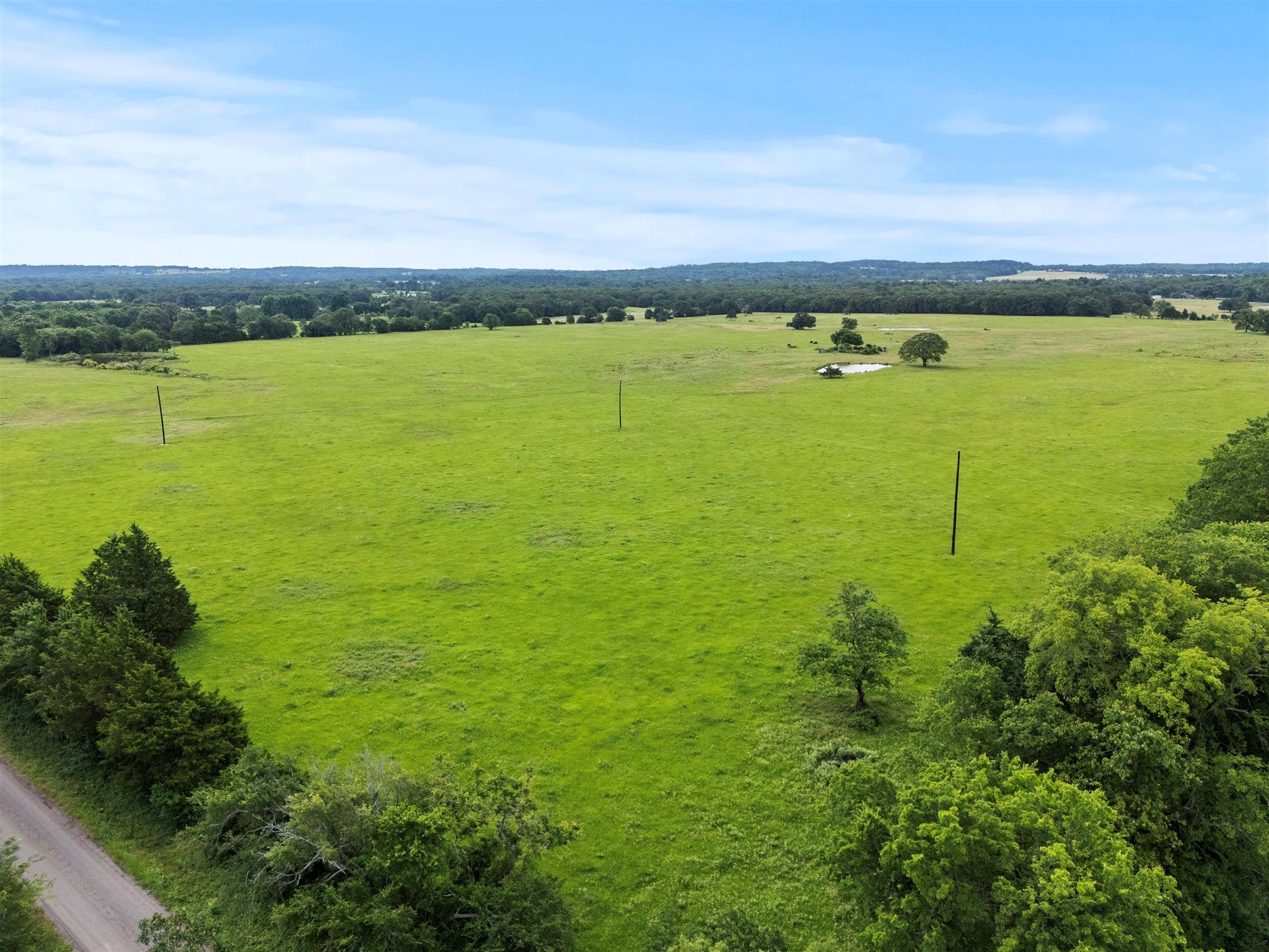 0000 VZ CR 4607 Road, Ben Wheeler, TX, 75754 | 20973289 | Realty Texas LLC