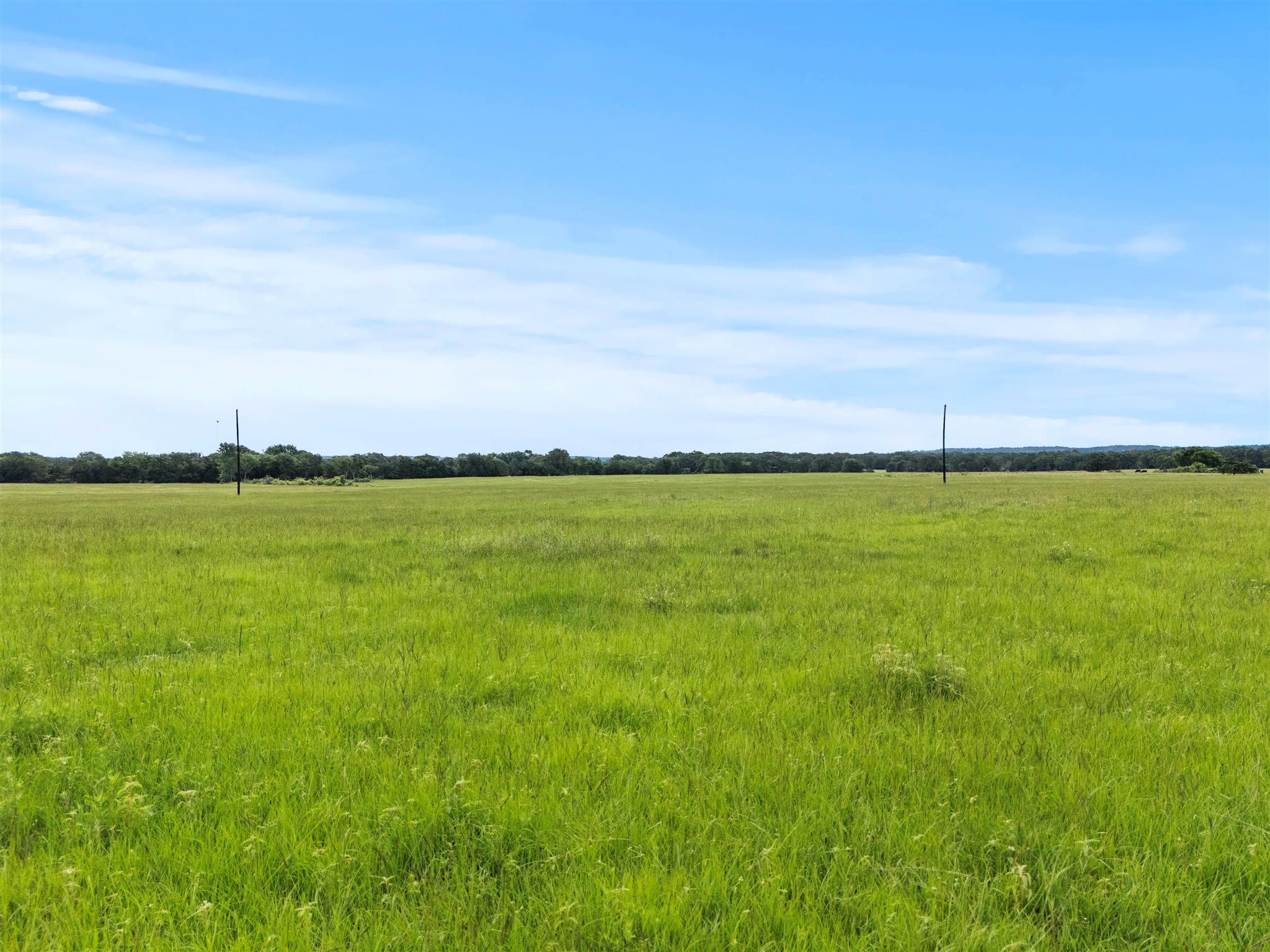 0000 VZ CR 4607 Road, Ben Wheeler, TX, 75754 | 20973289 | Realty Texas LLC