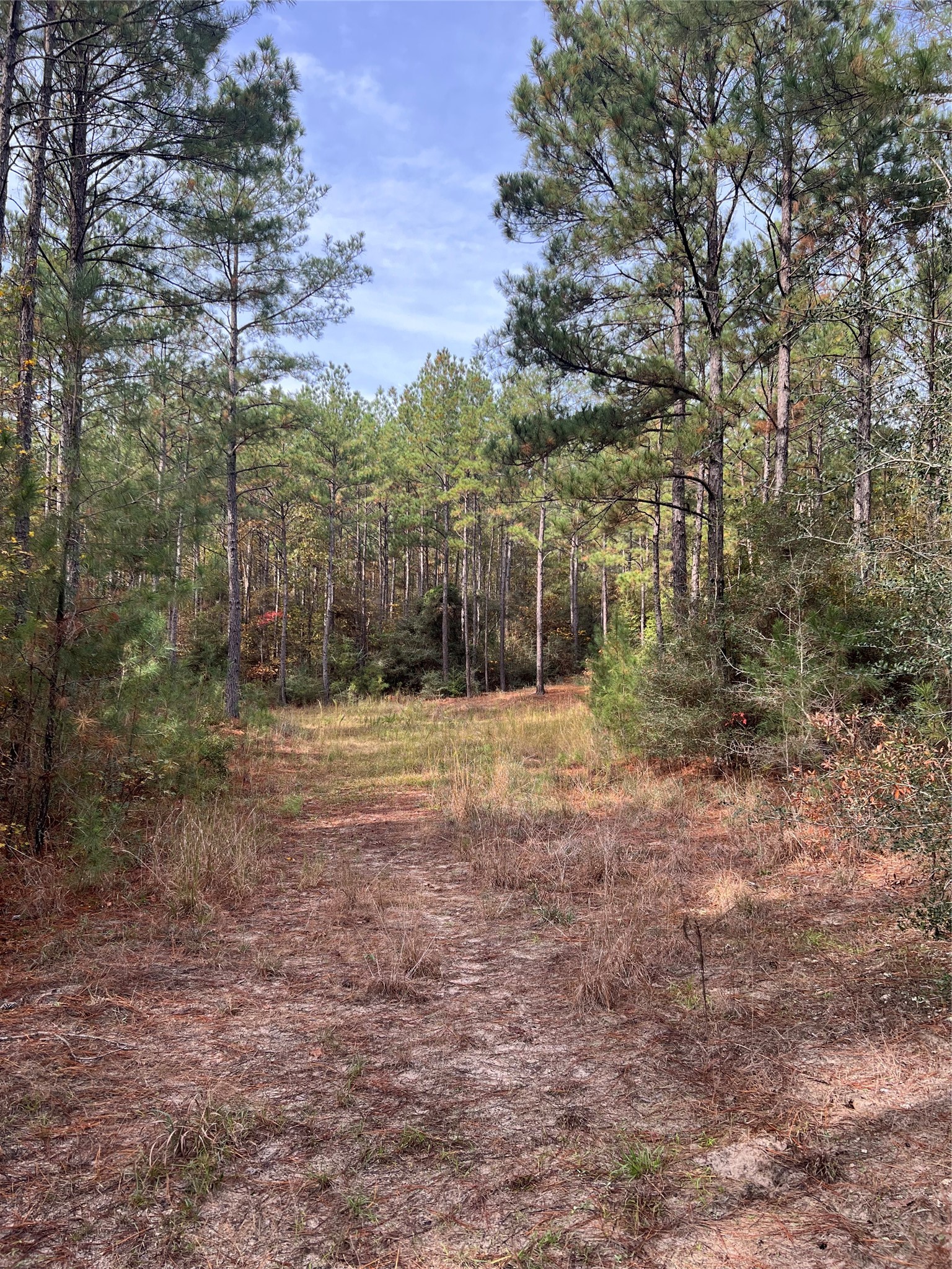 1432 FM 1745 S, Chester, TX, 75936 | 48193693 | Realty Texas LLC