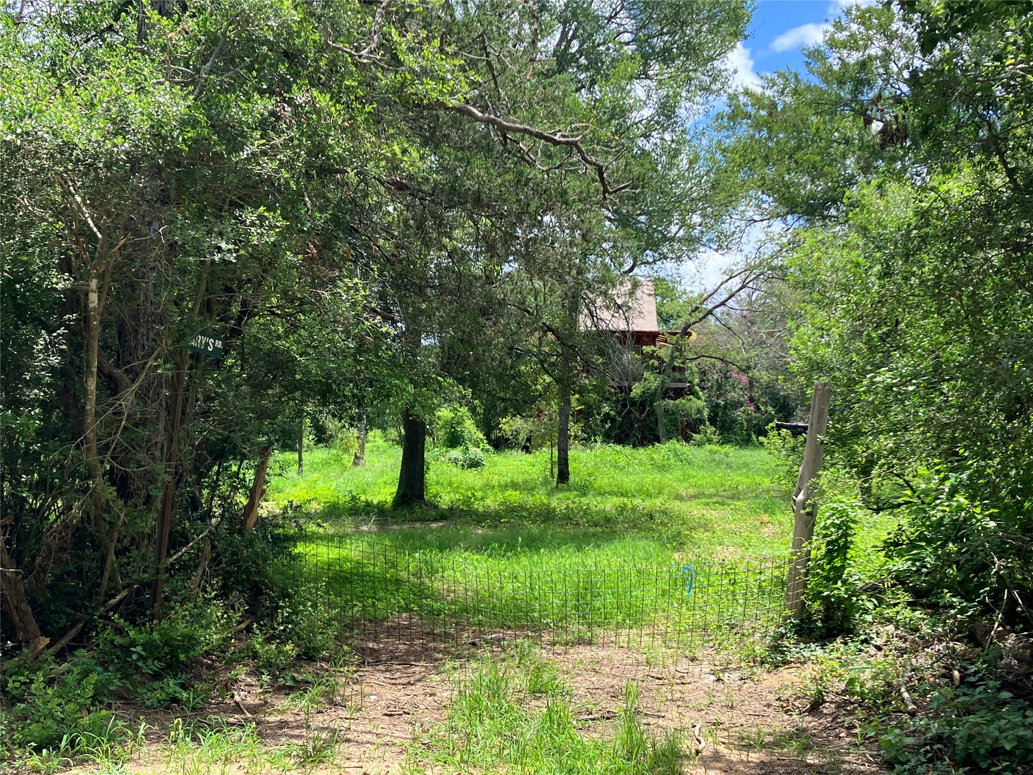 693 Saint Mary's RD, Rosanky, TX, 78953 | 3014835 | Realty Texas LLC