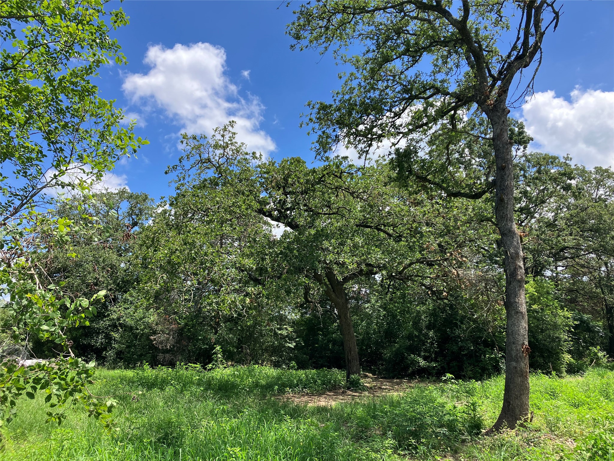 693 Saint Mary's RD, Rosanky, TX, 78953 | 3014835 | Realty Texas LLC