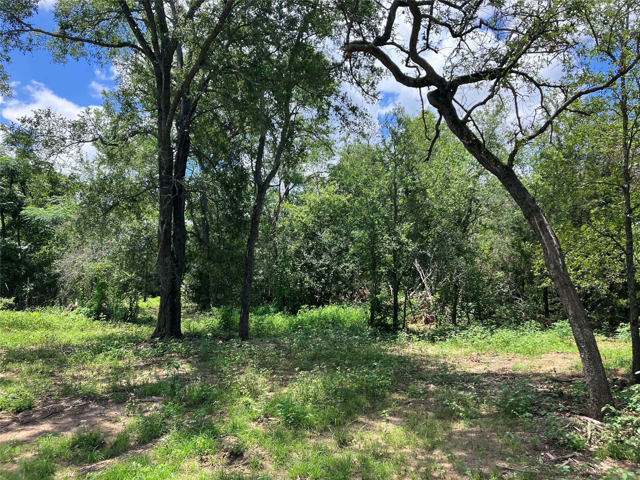 693 Saint Mary's RD, Rosanky, TX, 78953 | 3014835 | Realty Texas LLC