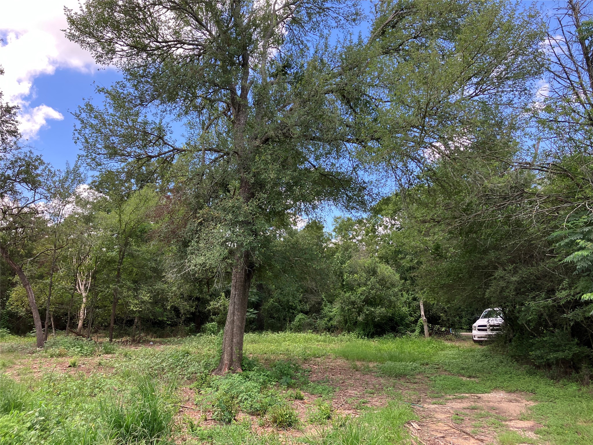 693 Saint Mary's RD, Rosanky, TX, 78953 | 3014835 | Realty Texas LLC