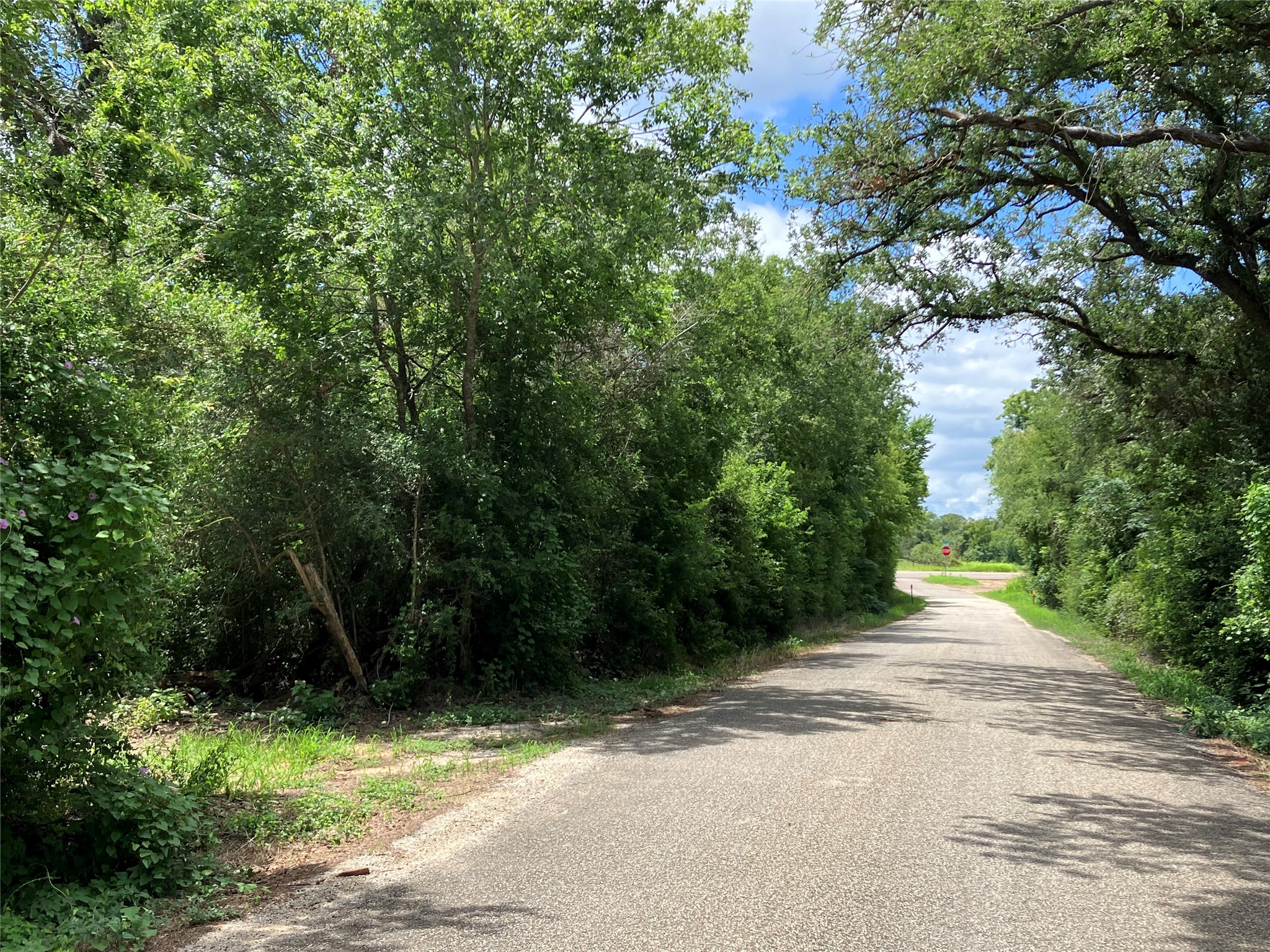 693 Saint Mary's RD, Rosanky, TX, 78953 | 3014835 | Realty Texas LLC
