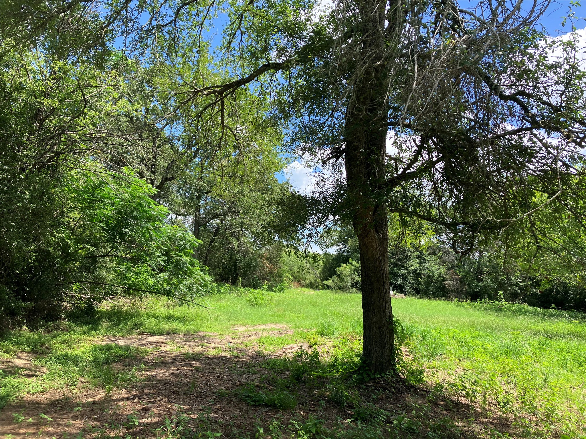 693 Saint Mary's RD, Rosanky, TX, 78953 | 3014835 | Realty Texas LLC