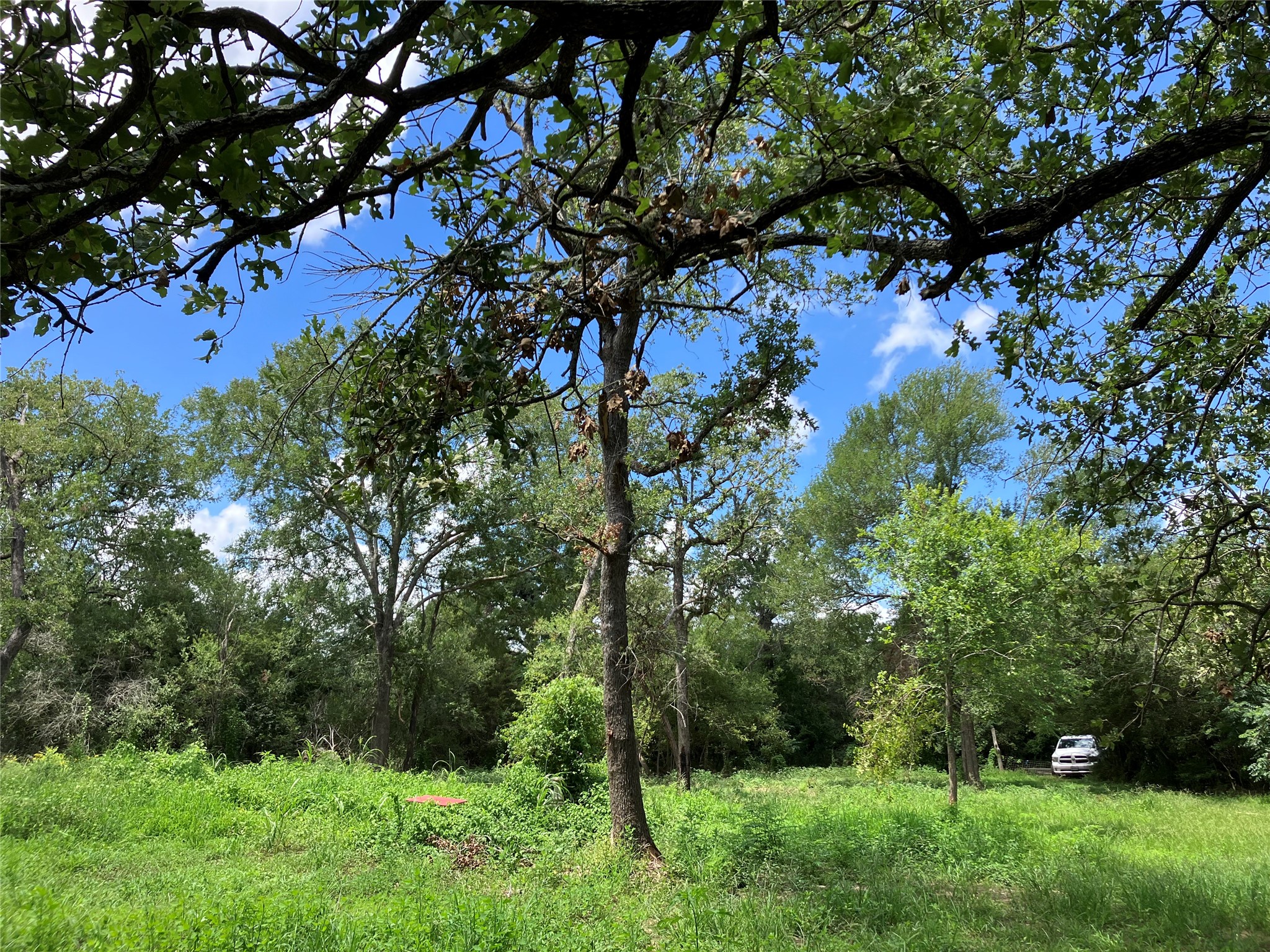 693 Saint Mary's RD, Rosanky, TX, 78953 | 3014835 | Realty Texas LLC