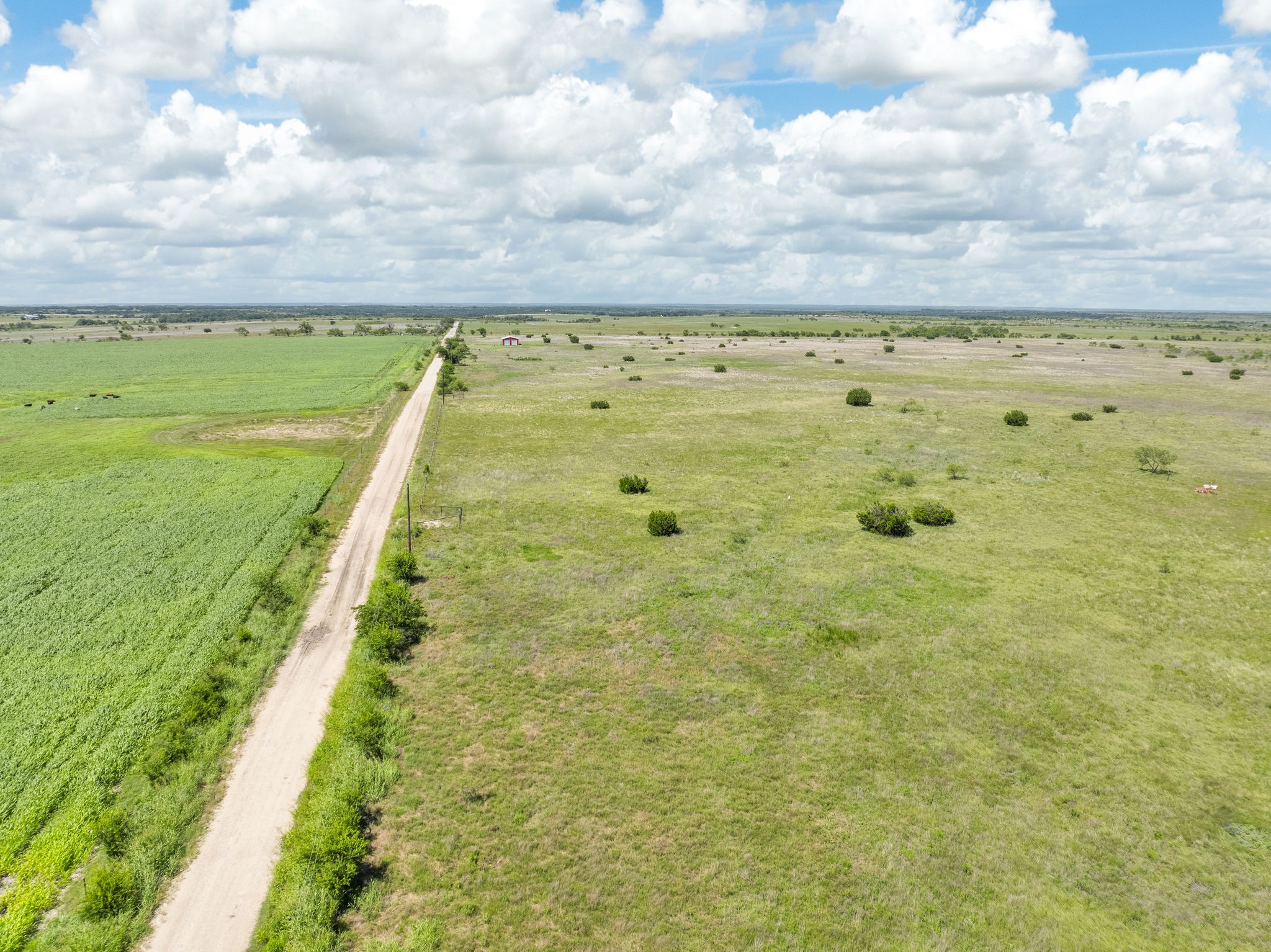 3540 County Road 626, Hamilton, TX, 76531 | 20971242 | Realty Texas LLC