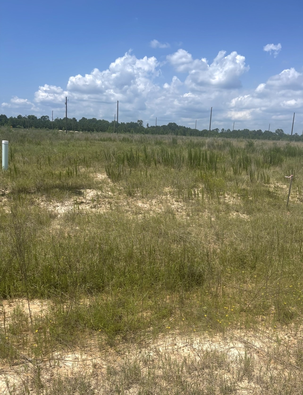 856 ROAD 591503 Teresa Drive, Cleveland, TX, 77327 | 54638925 | Realty Texas LLC