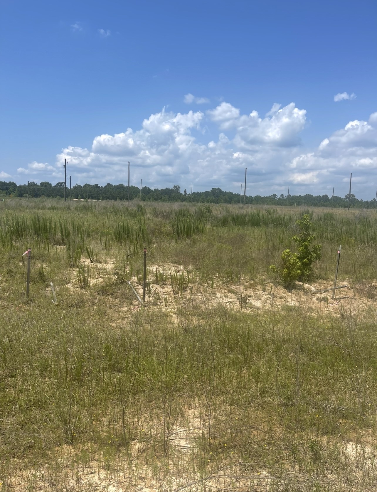 856 ROAD 591503 Teresa Drive, Cleveland, TX, 77327 | 54638925 | Realty Texas LLC