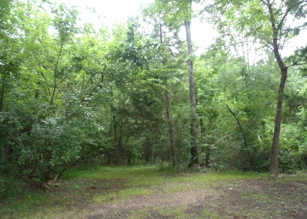 615 WATERFRONT , Quitman, TX, 75783 | 20974221 | Realty Texas LLC