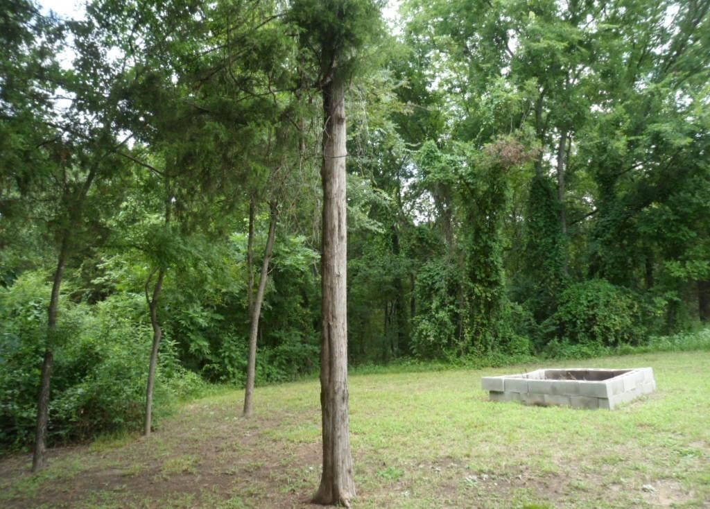 615 WATERFRONT , Quitman, TX, 75783 | 20974221 | Realty Texas LLC