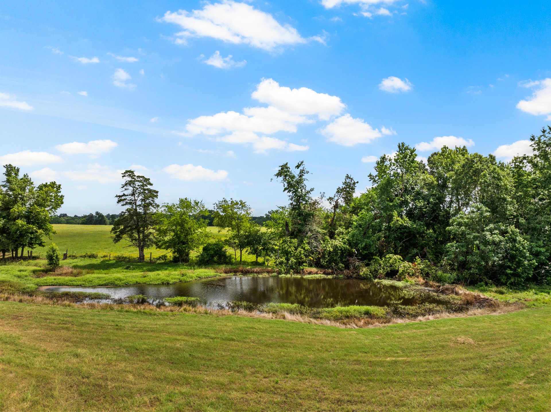 468 CR 4211, Pittsburg, TX, 75686 | 20975830 | Realty Texas LLC
