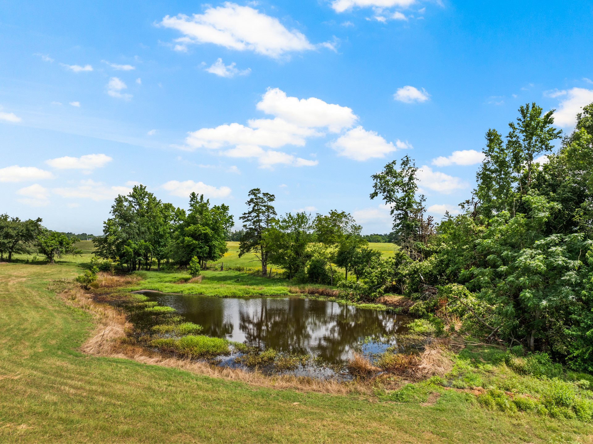 468 CR 4211, Pittsburg, TX, 75686 | 20975830 | Realty Texas LLC