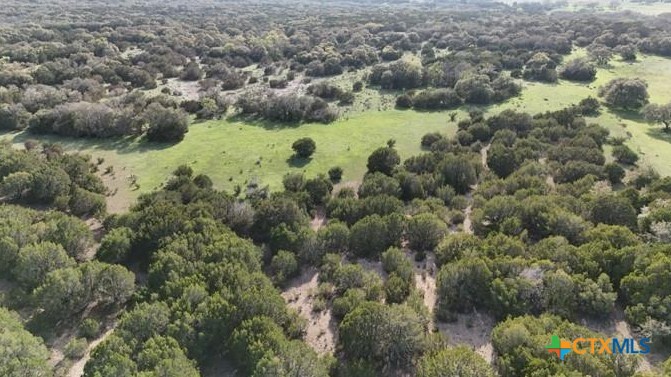 TBD 000 County Road 108, Burnet, TX, 78611 | 584046 | Realty Texas LLC