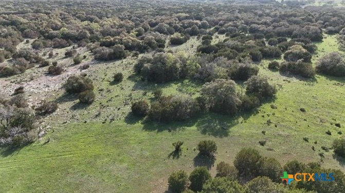 TBD 000 County Road 108, Burnet, TX, 78611 | 584046 | Realty Texas LLC