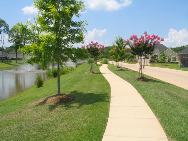 147 Eagle Bend Way, Shreveport, LA, 71115 | 20957431 | Realty Texas LLC