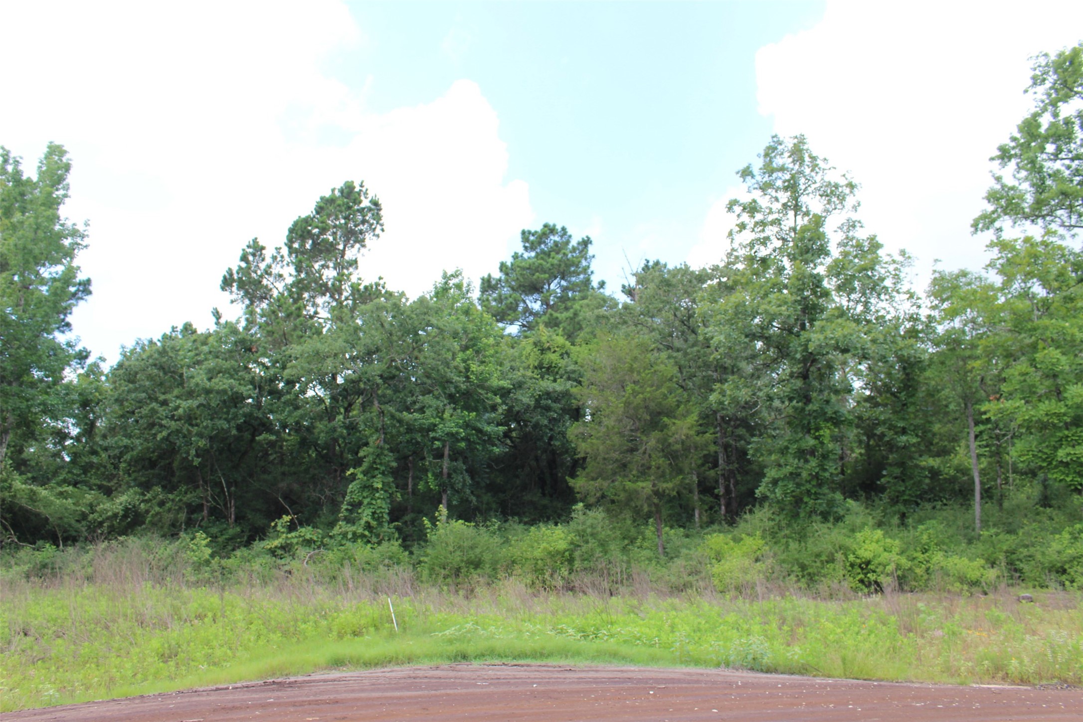Tract 164 Private Road 1311, Centerville, TX, 75833 | 7740605 | Realty Texas LLC