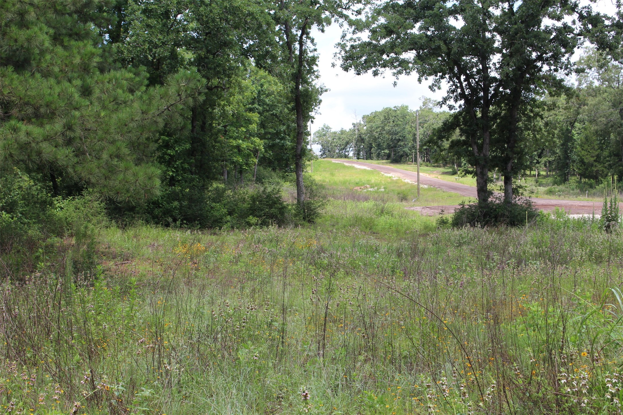 Tract 164 Private Road 1311, Centerville, TX, 75833 | 7740605 | Realty Texas LLC