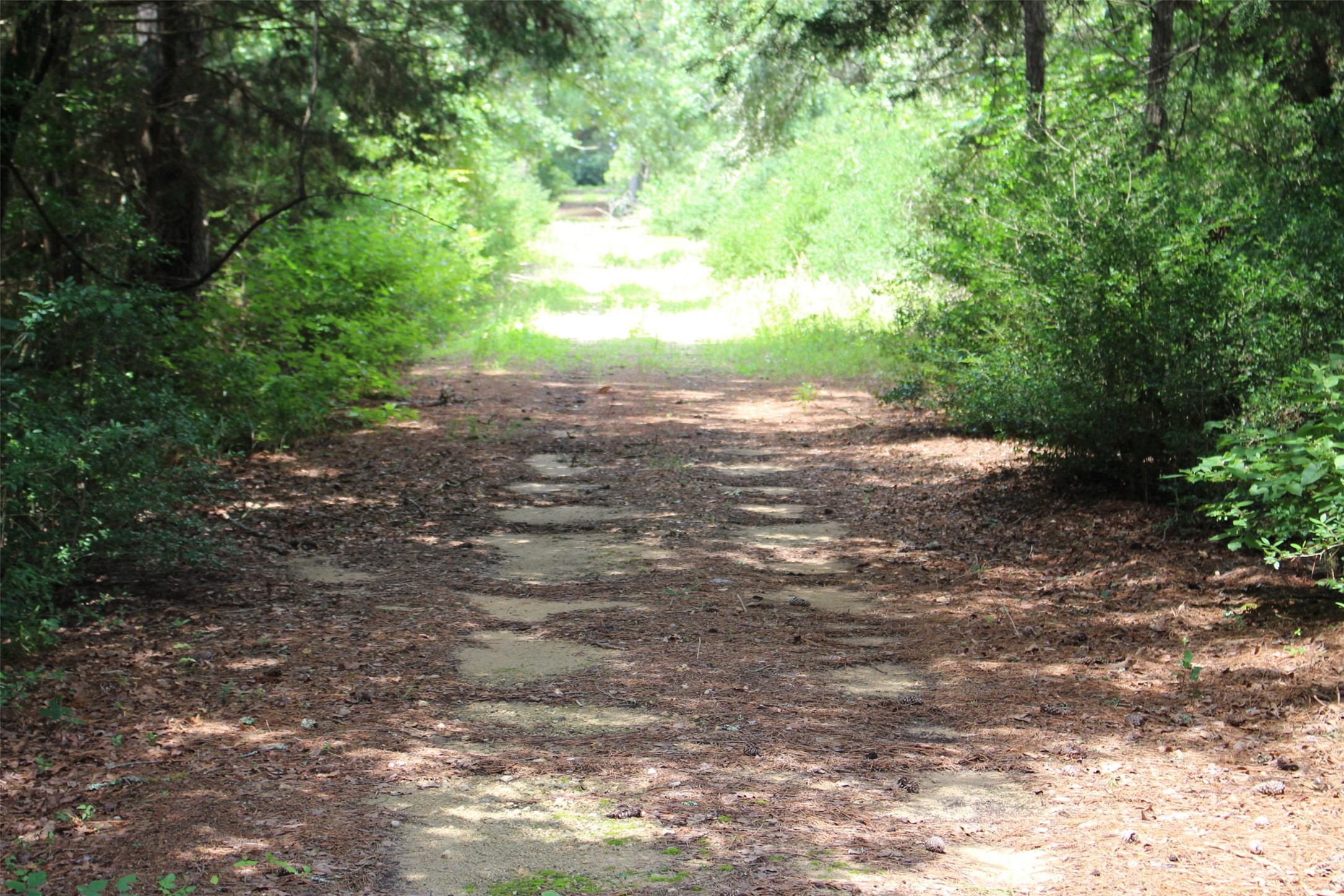 Tract 164 Private Road 1311, Centerville, TX, 75833 | 7740605 | Realty Texas LLC