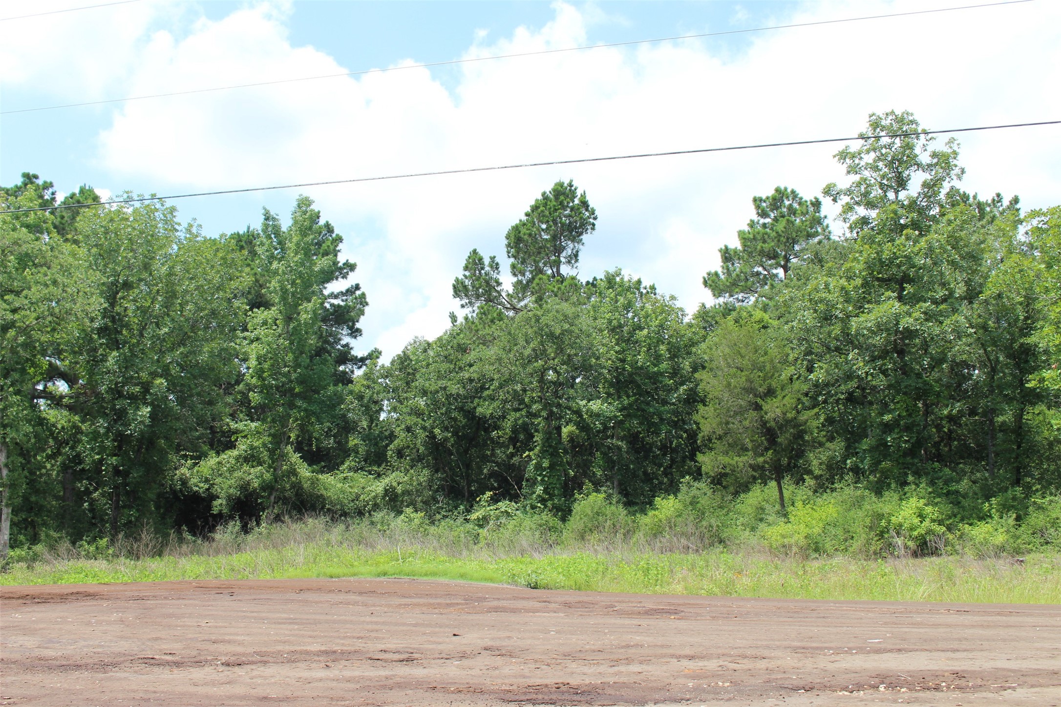 Tract 164 Private Road 1311, Centerville, TX, 75833 | 7740605 | Realty Texas LLC