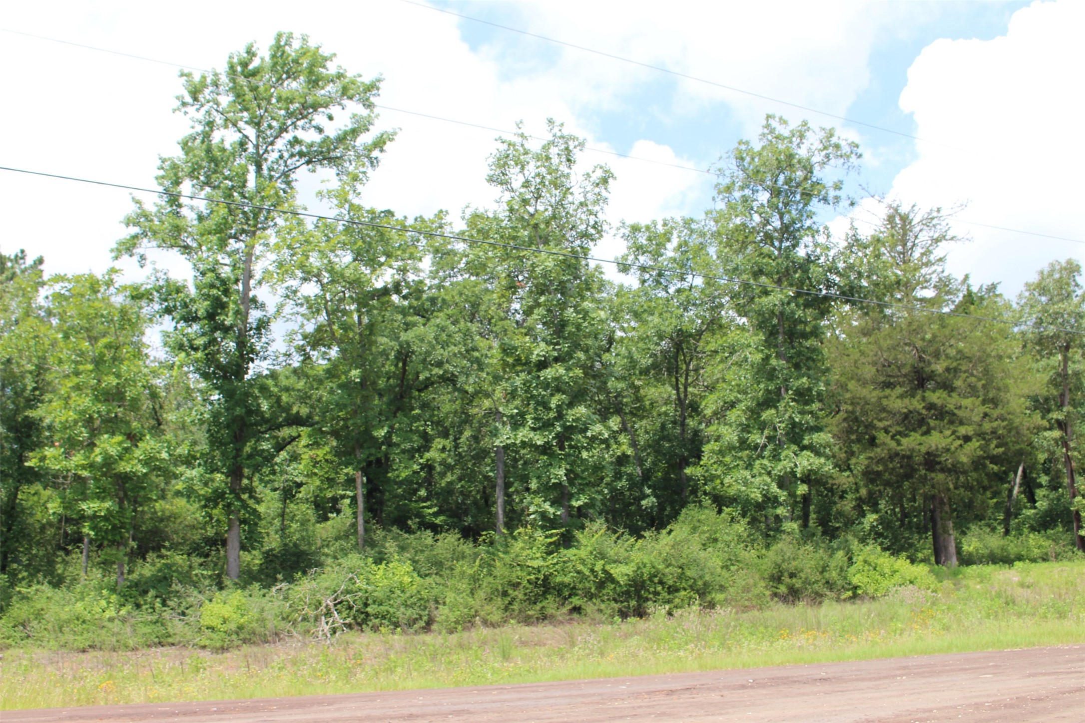 Tract 164 Private Road 1311, Centerville, TX, 75833 | 7740605 | Realty Texas LLC